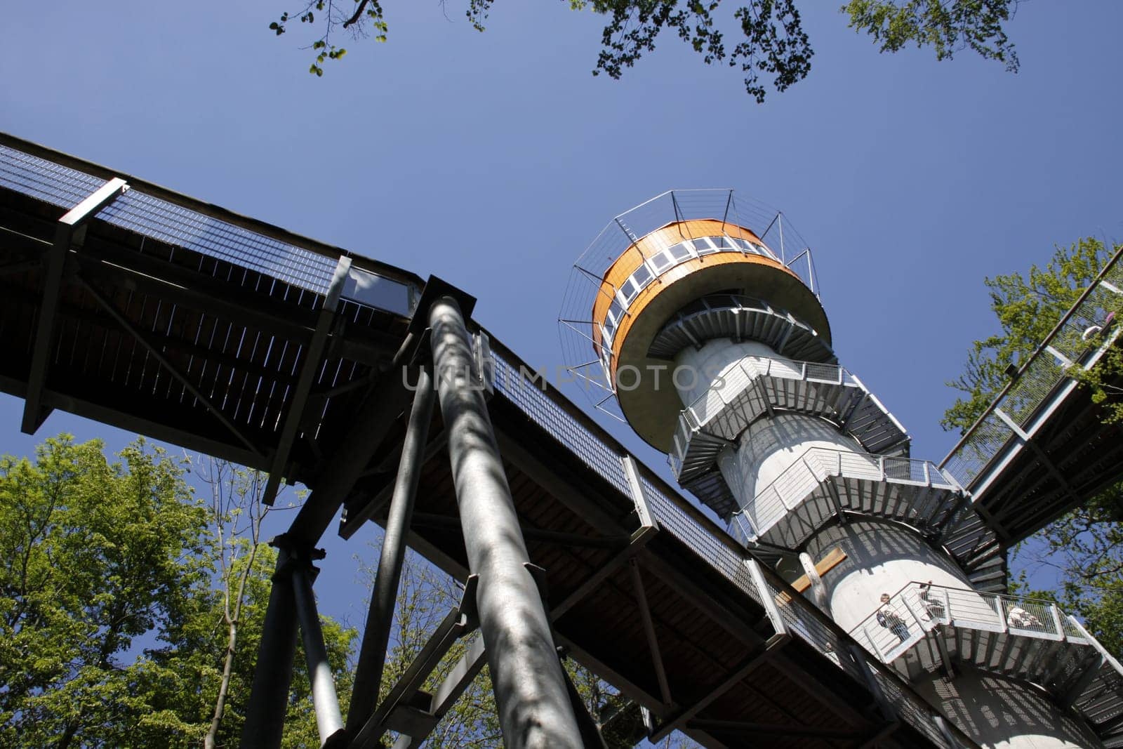 Treetop Walk in Hainich National Park