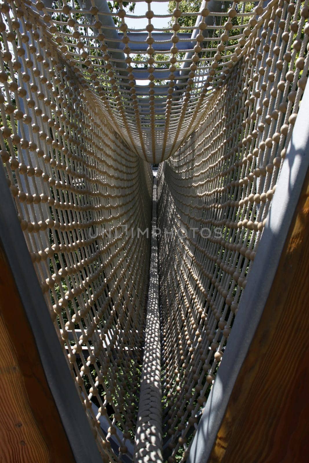 Treetop Walk in Hainich National Park