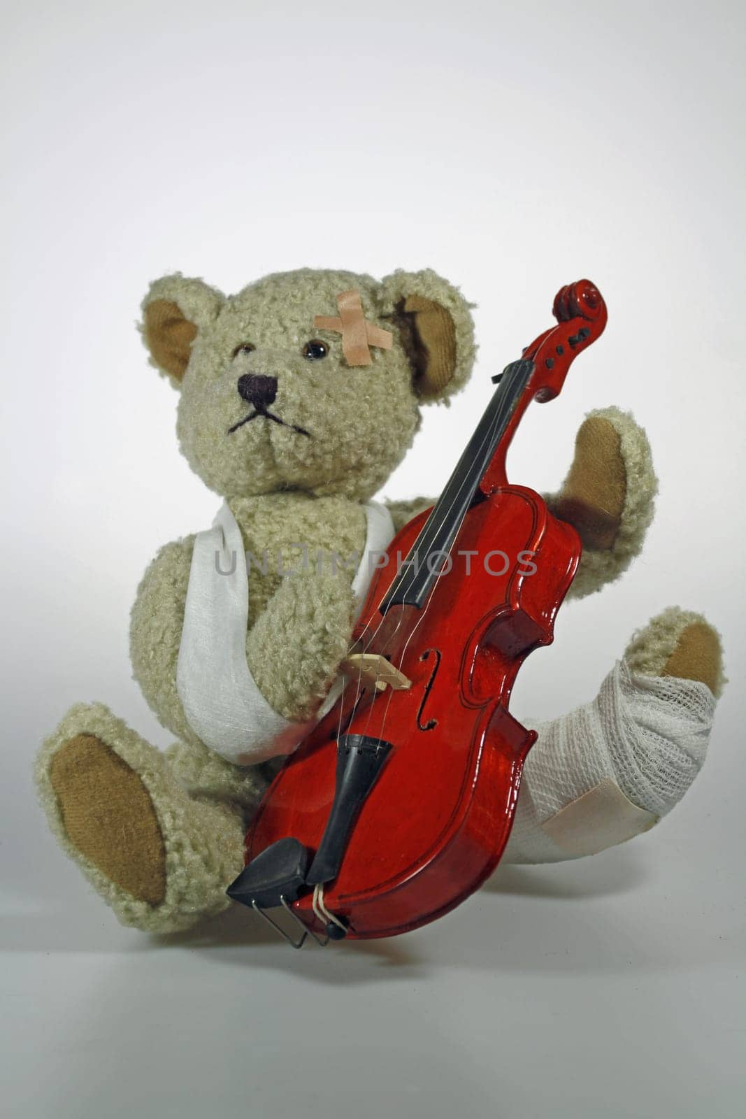 Injured teddy bear with violin