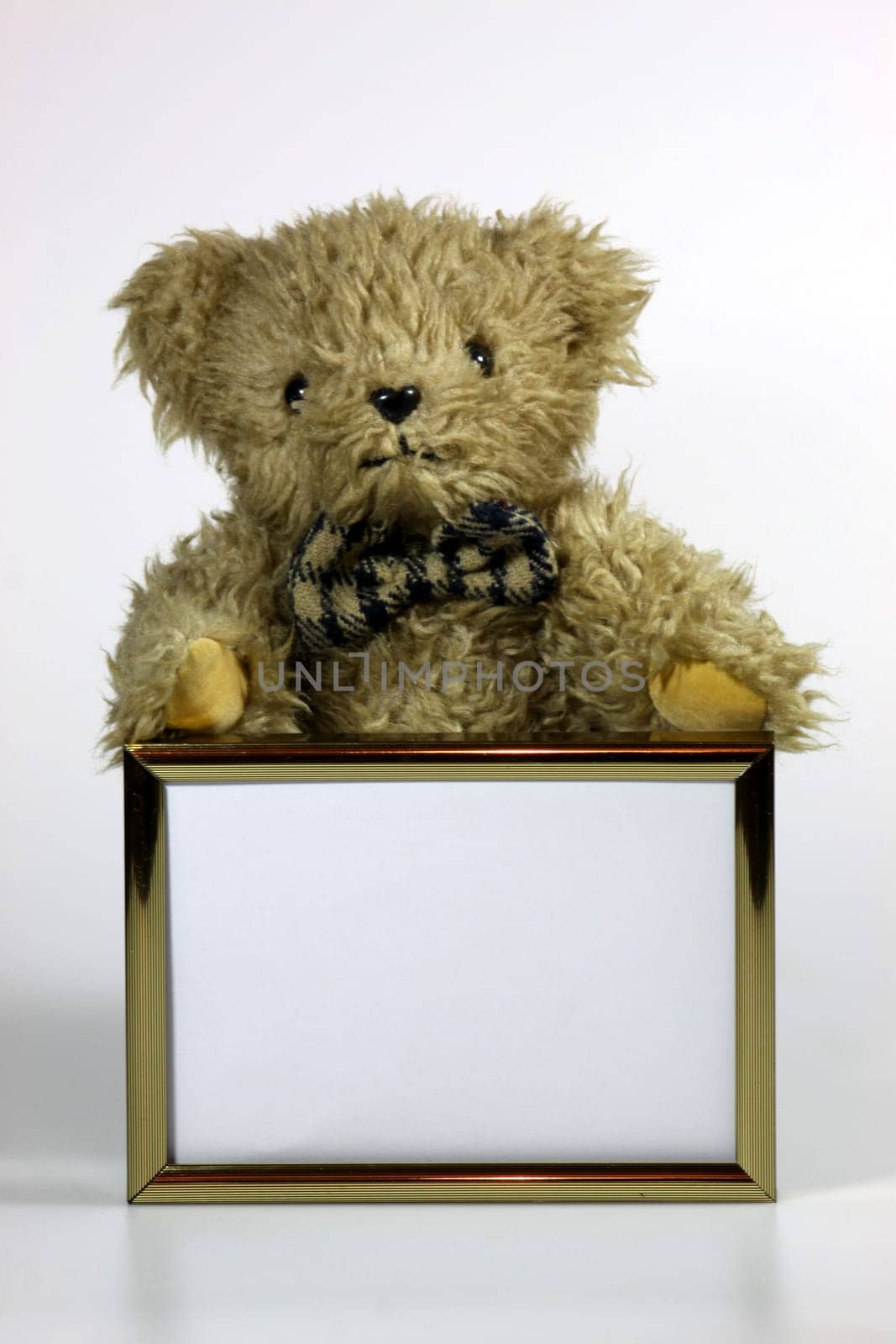 Teddy bear with picture frame