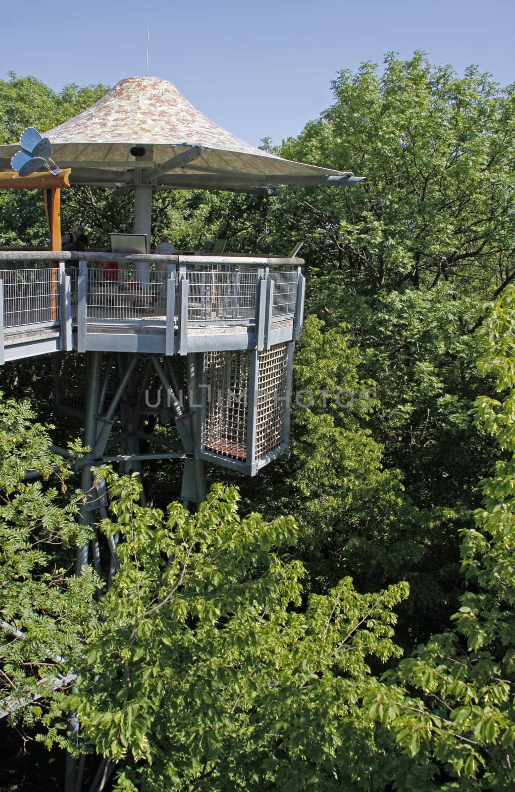 Treetop Walk in Hainich National Park