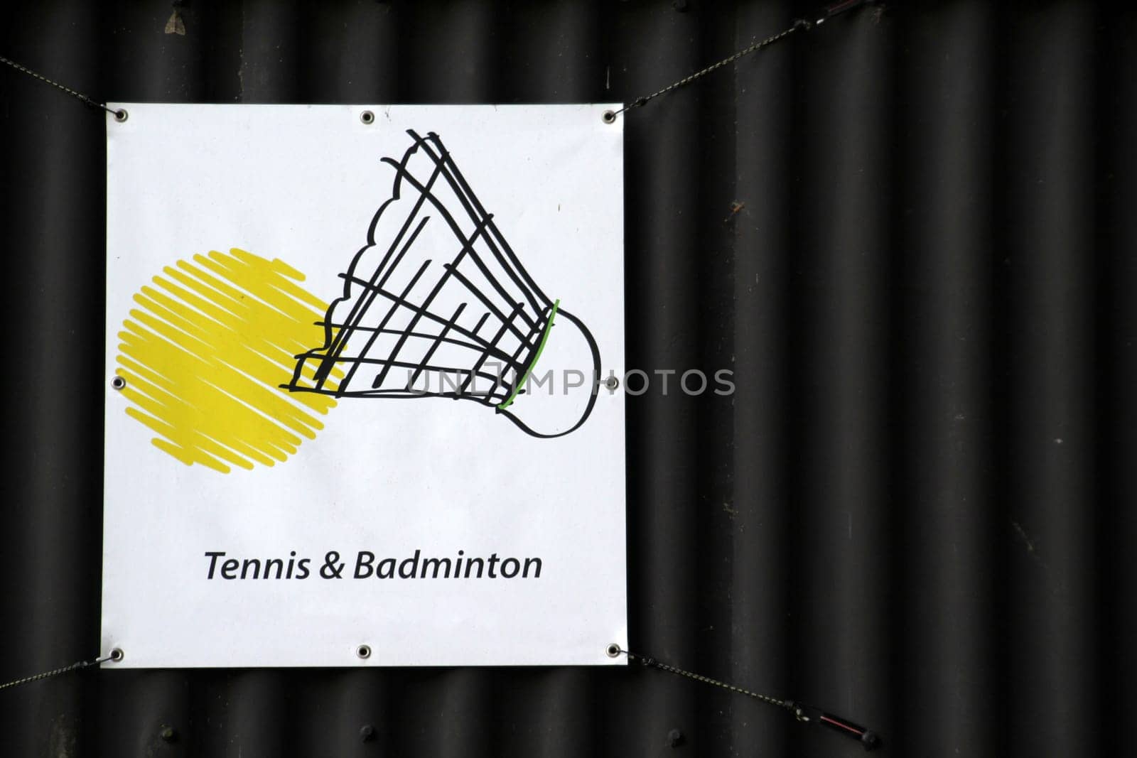 Tennis and badminton