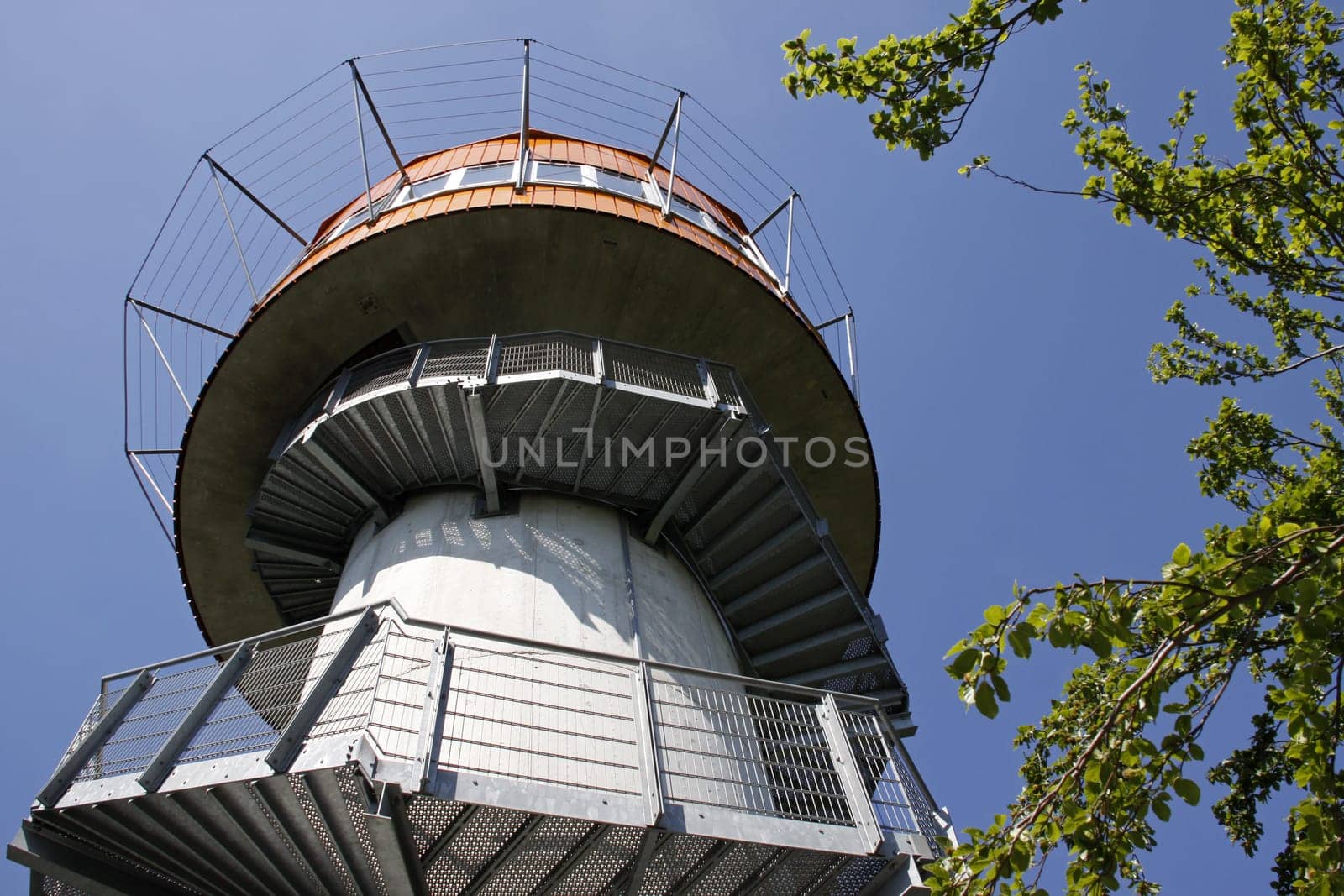 Treetop Walk in Hainich National Park