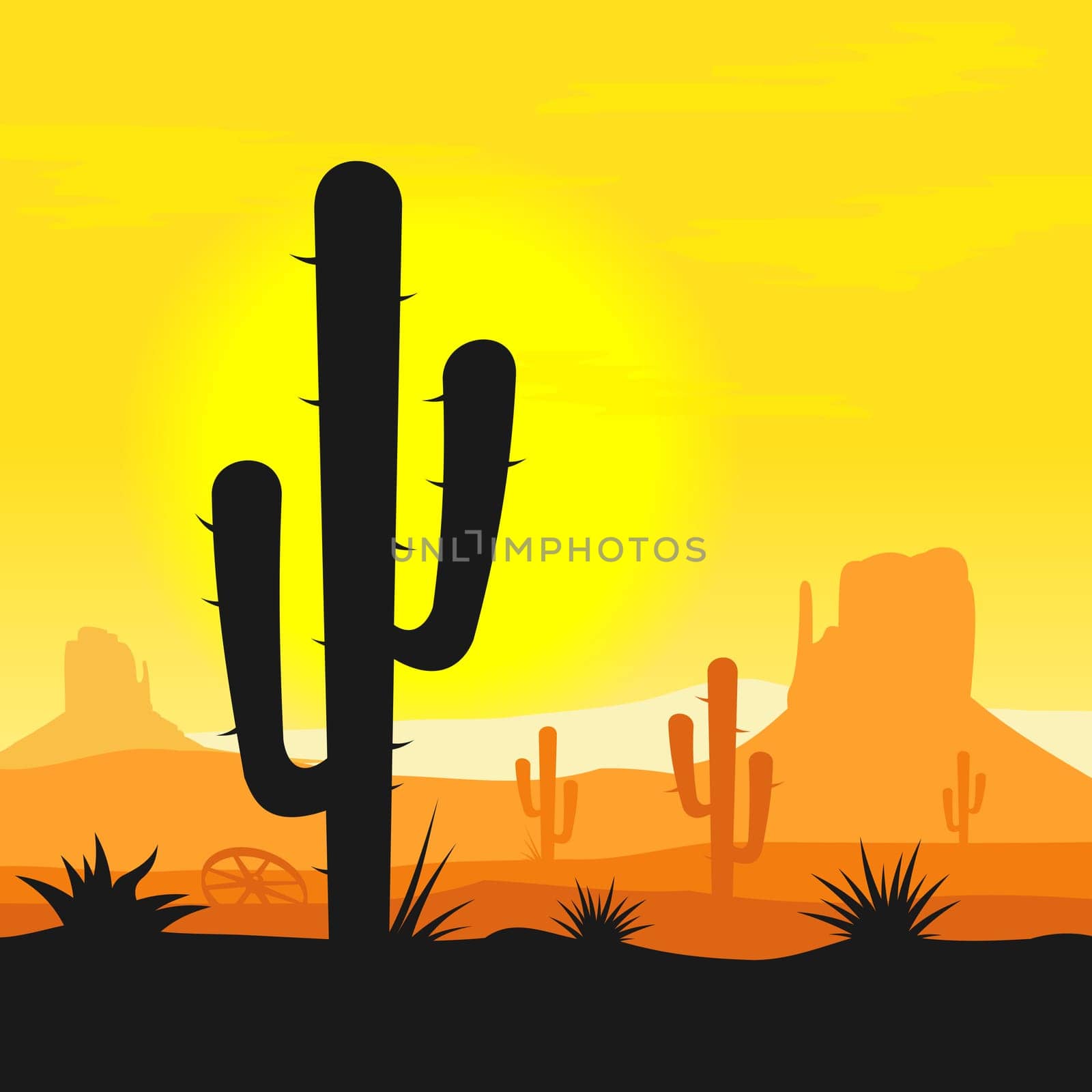 Cactus plants in desert