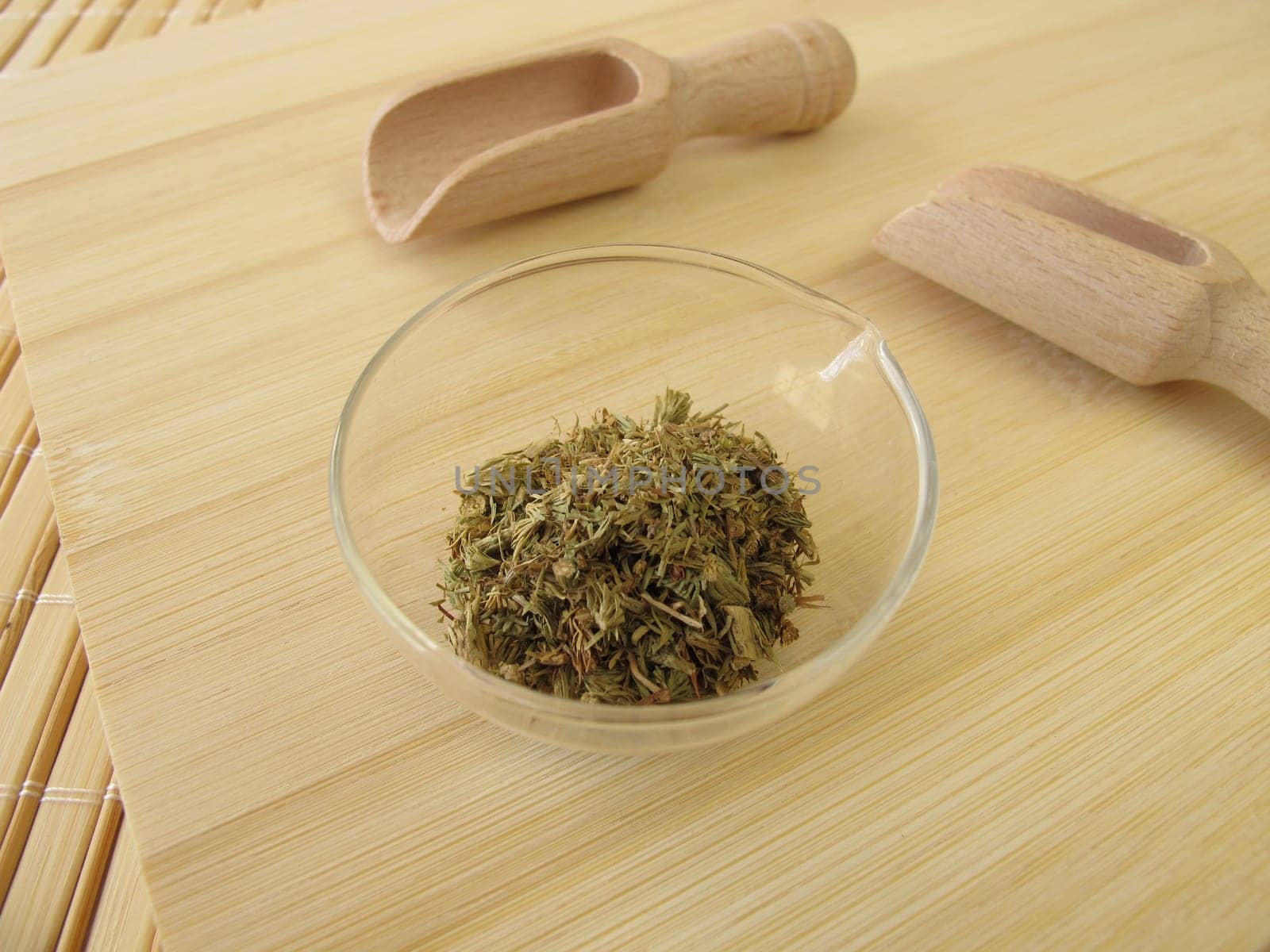 Lycopodii herba
