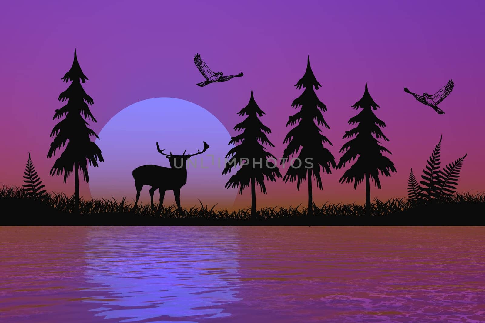 in the forest