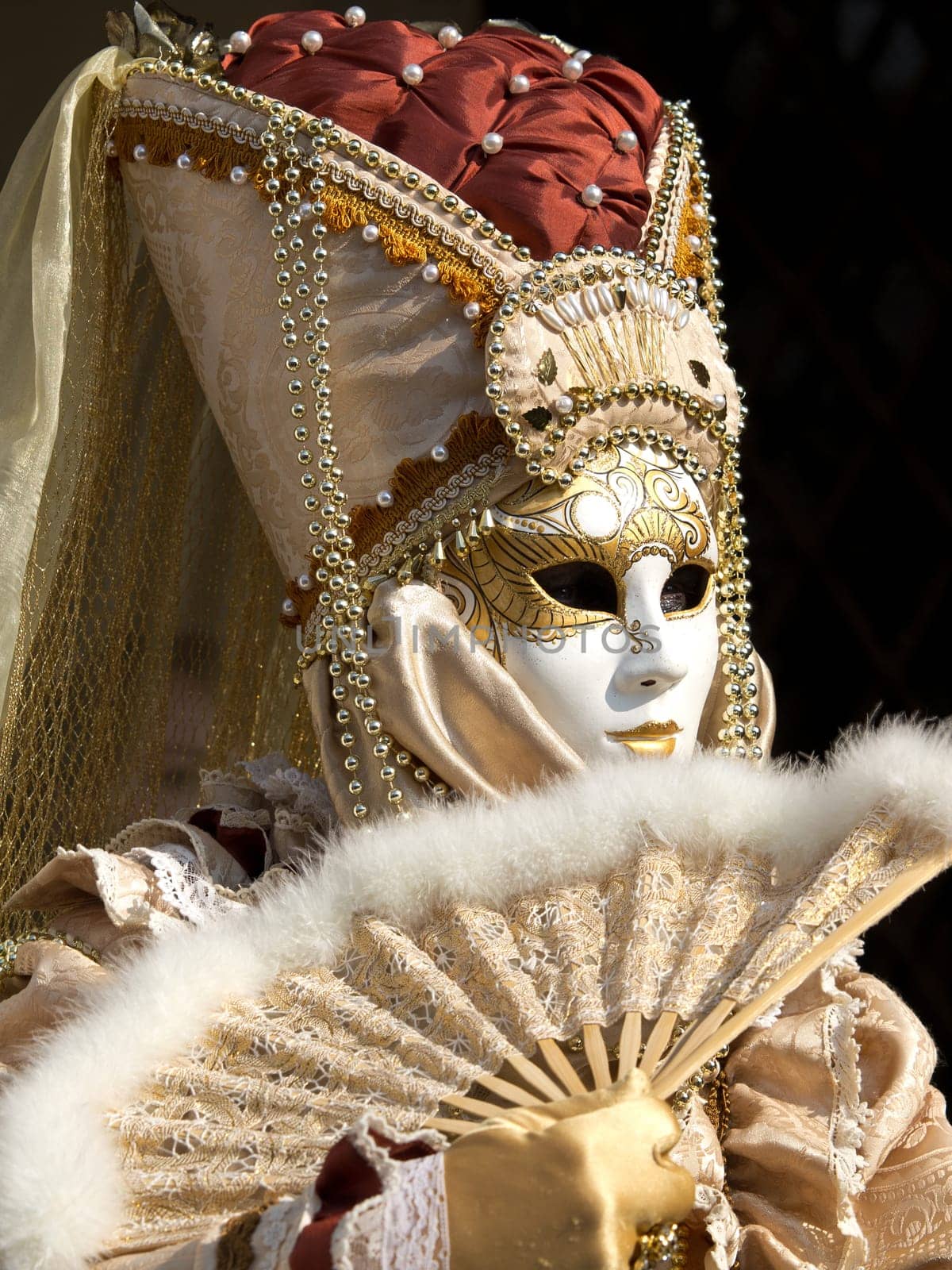mask on the piaca st Marco in Venice