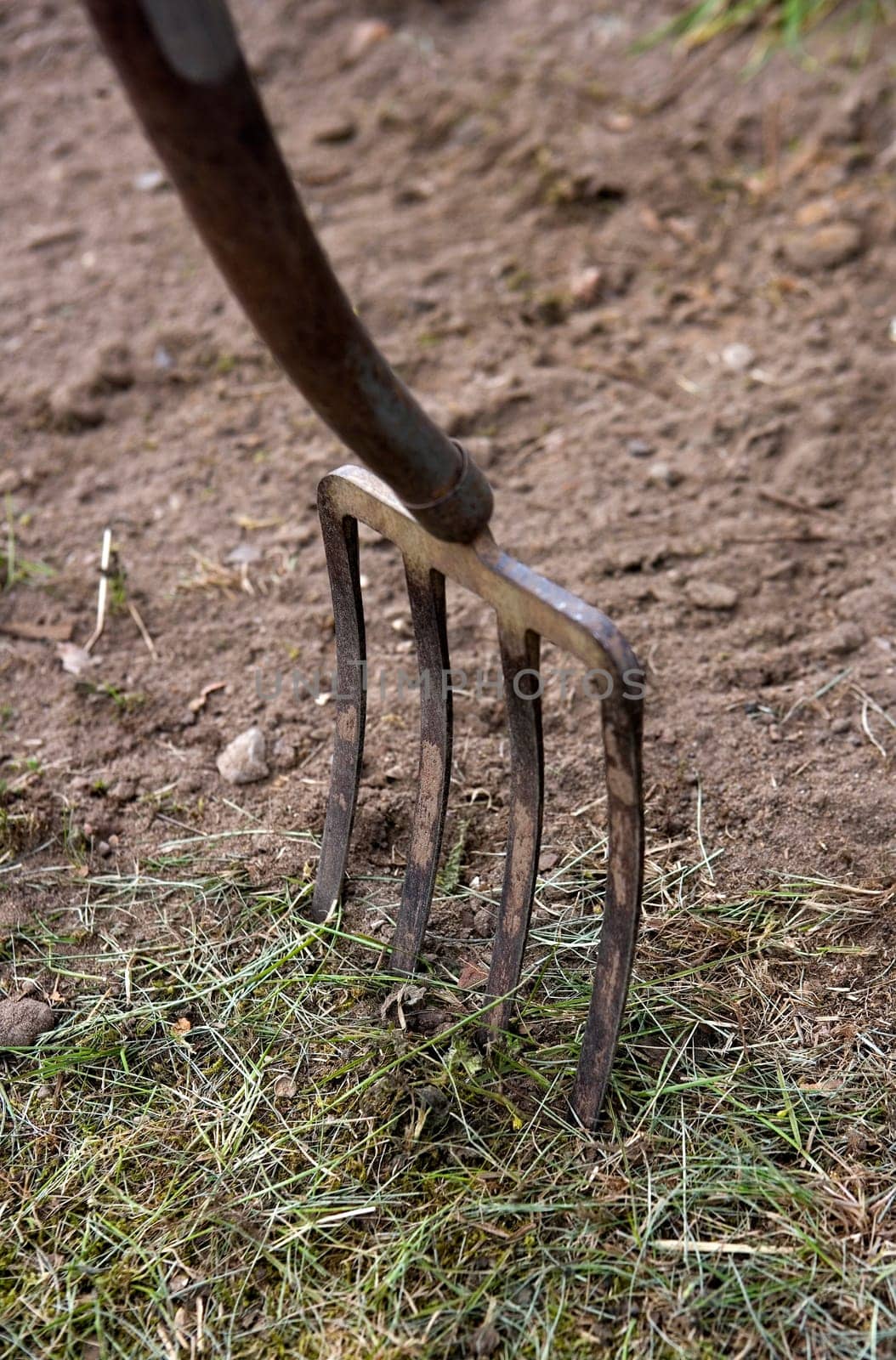 Close up of a Gardening Fork