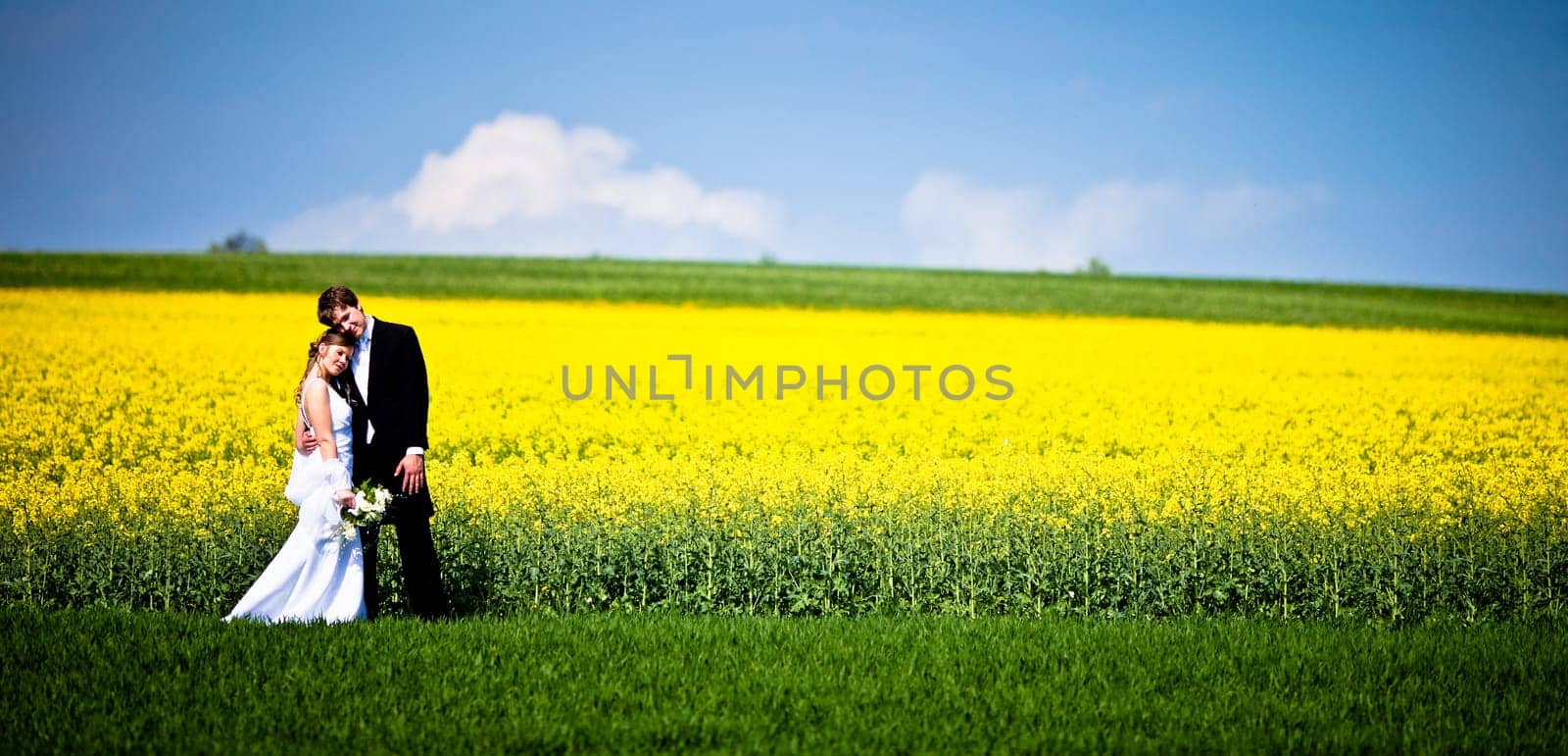 young wedding couple - freshly wed groom and bride posing outdoors on their wedding day