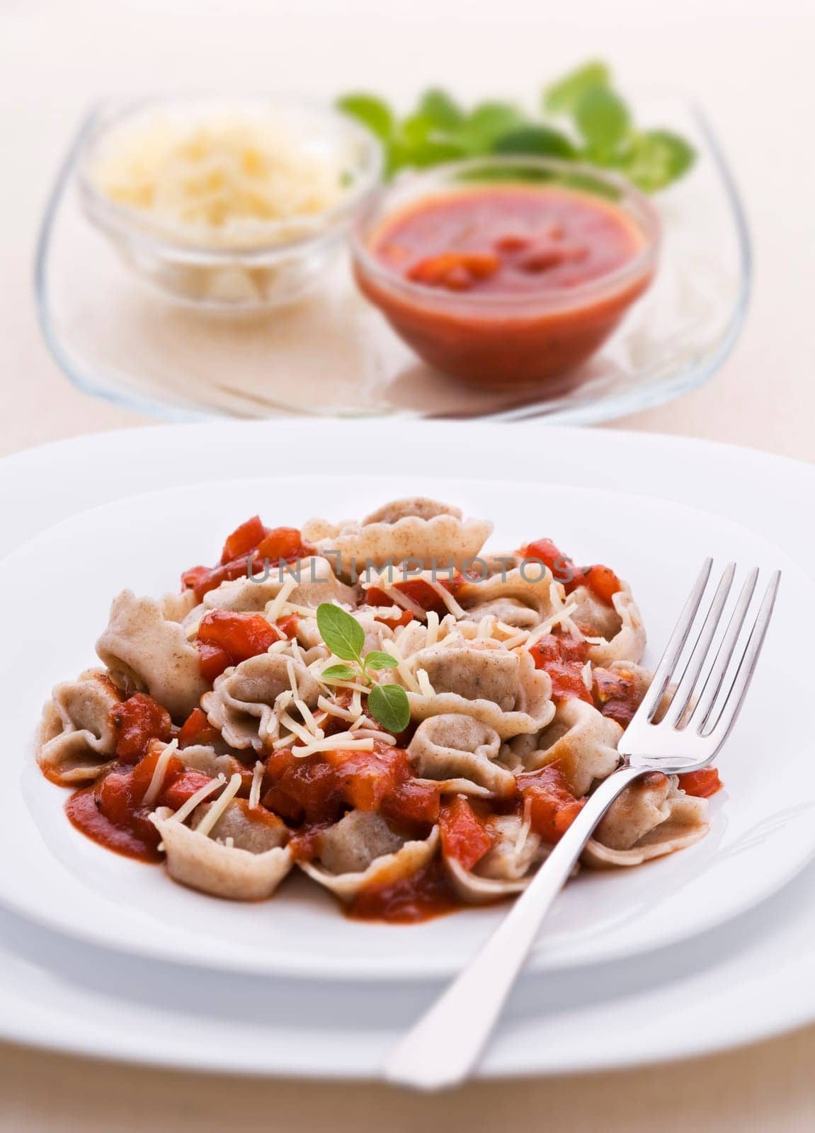 Fresh capeletti with tomato sauce and cheese close up