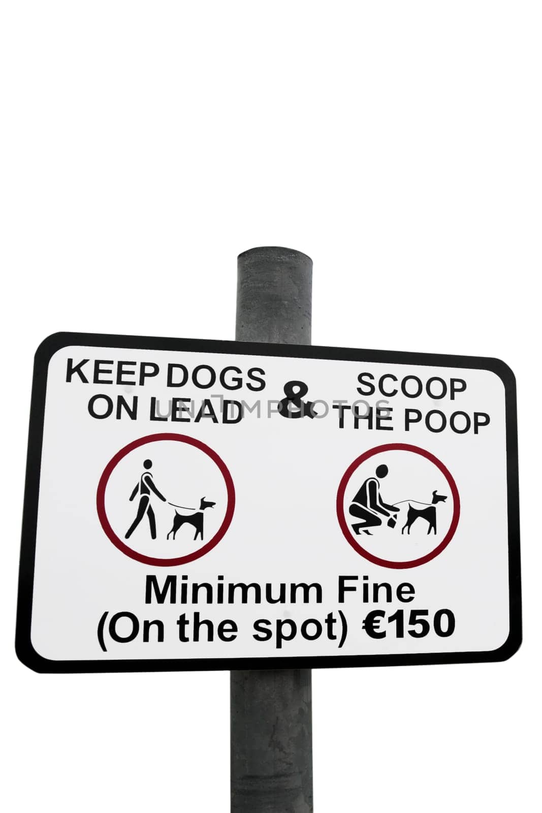 warning sign for all dog owners to scoop the poop with a clipping path