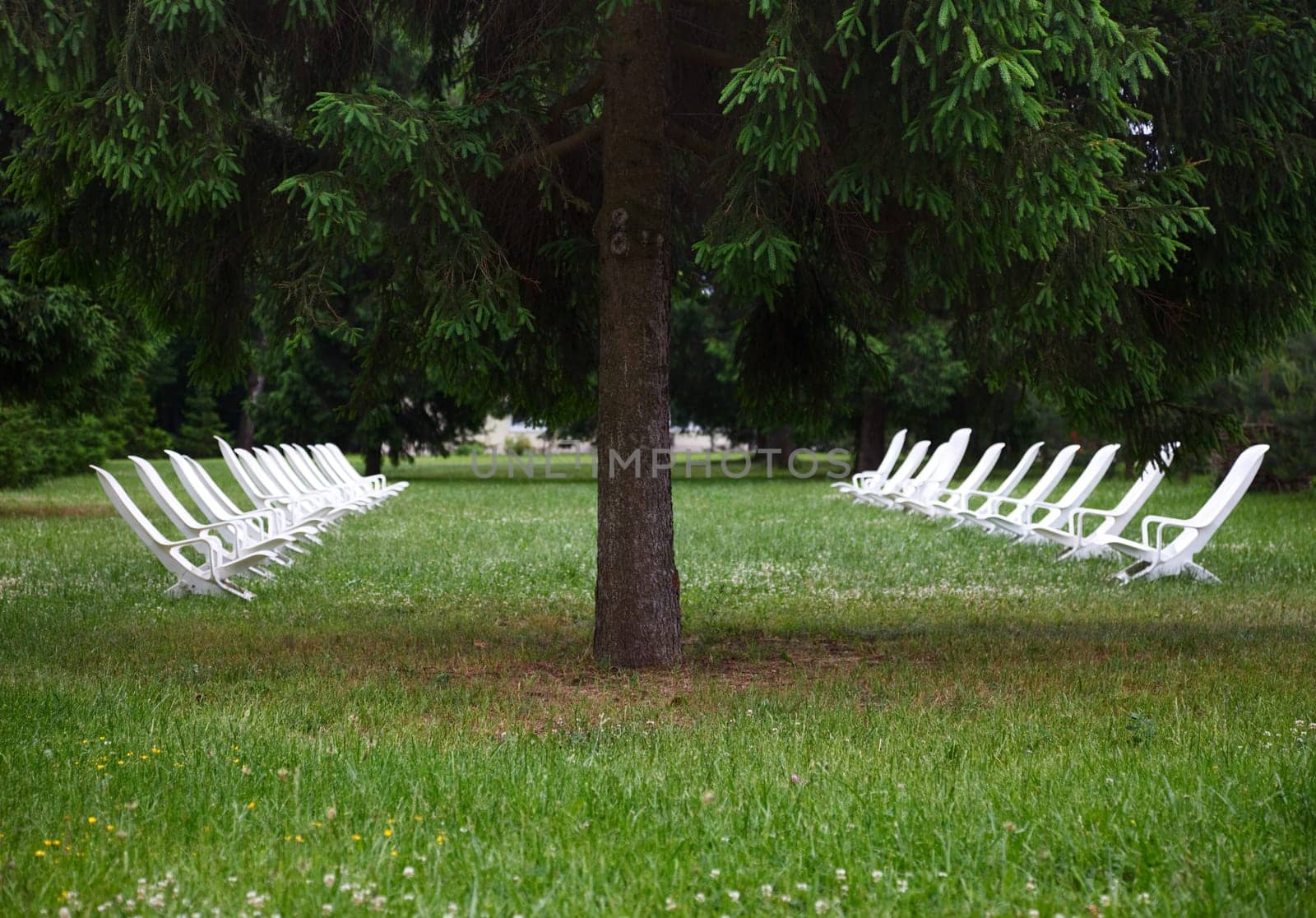 Relax place at the park-hotel lawn.