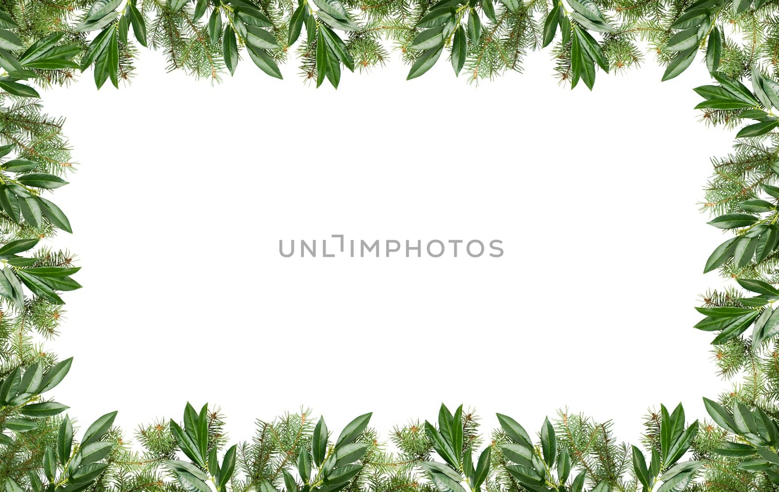 christmas frame made from pine branches on white