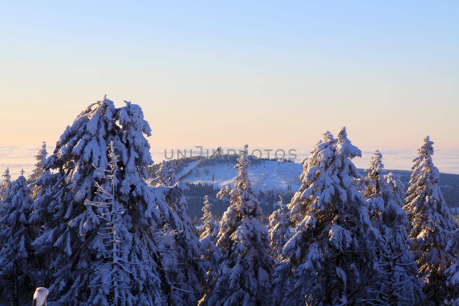 At sunrise on the Brocken