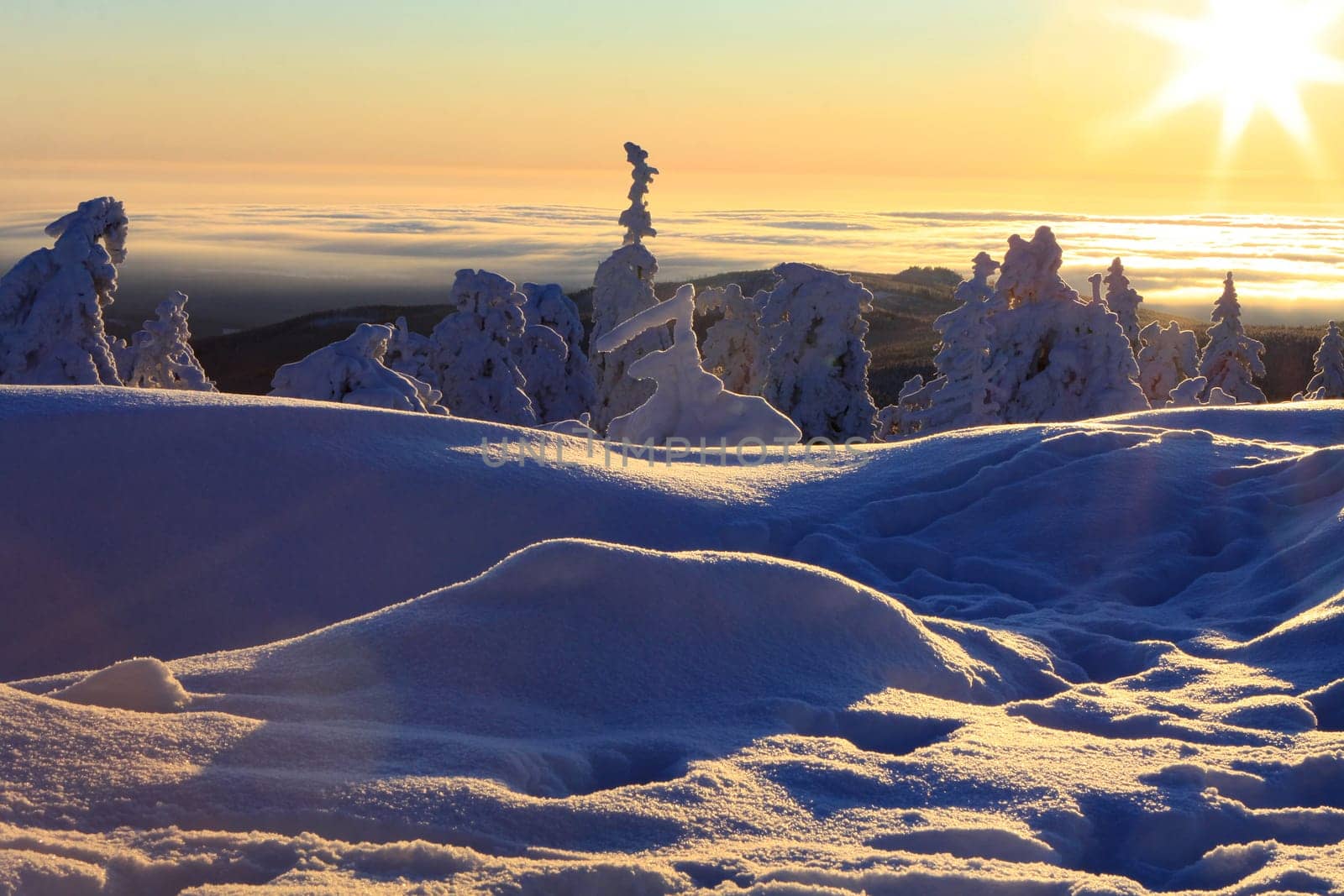 At sunrise on the Brocken