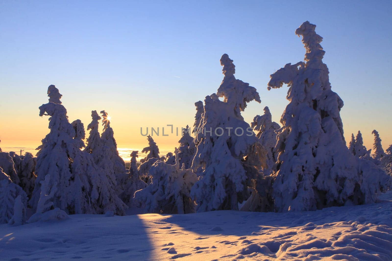 At sunrise on the Brocken