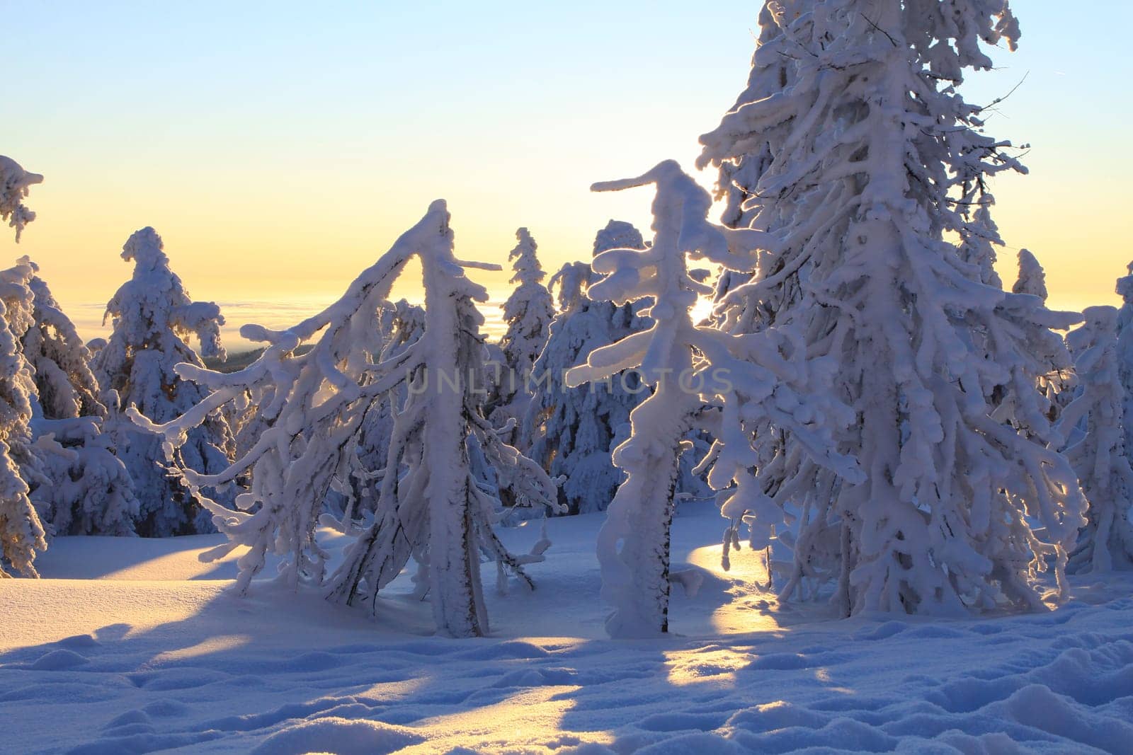 At sunrise on the Brocken