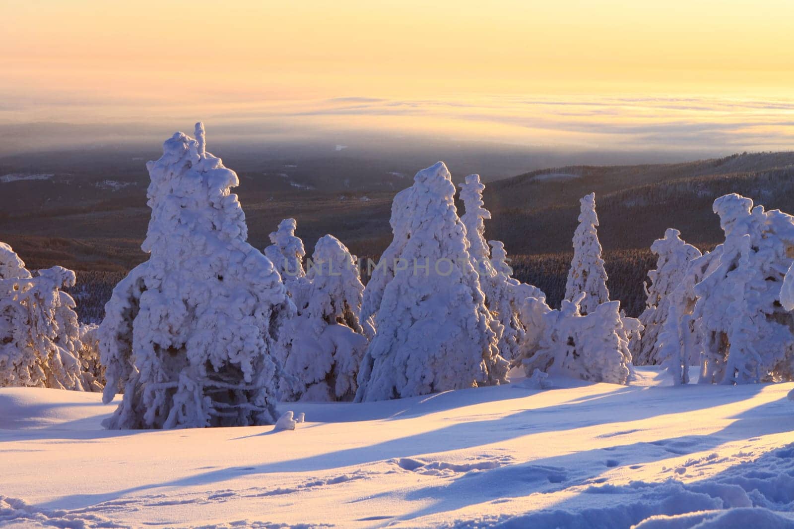 At sunrise on the Brocken