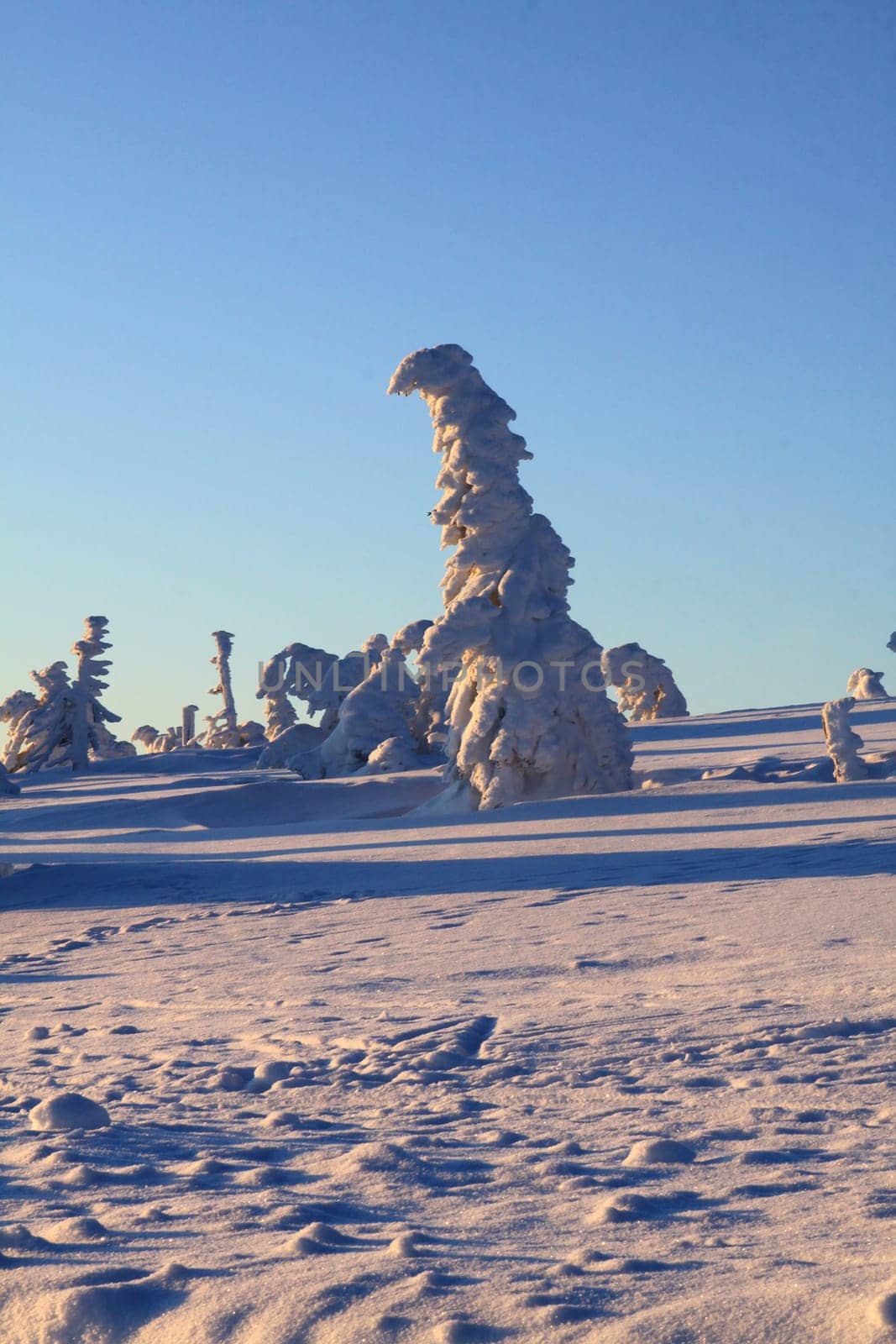 At sunrise on the Brocken