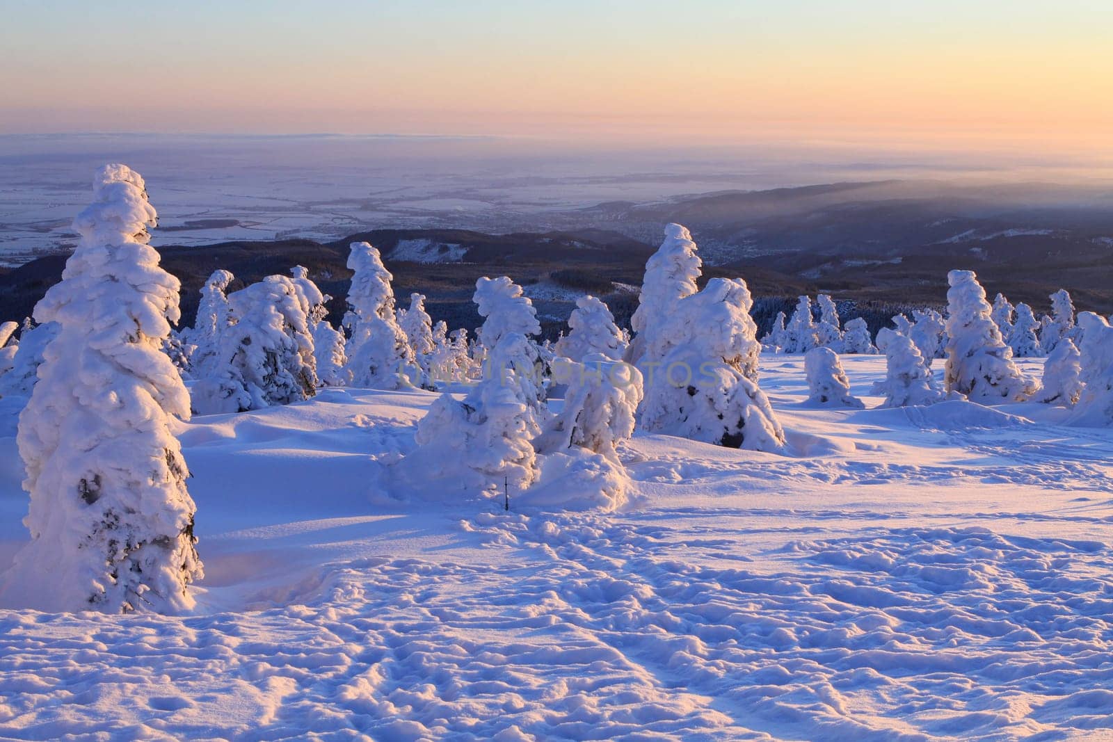 At sunrise on the Brocken