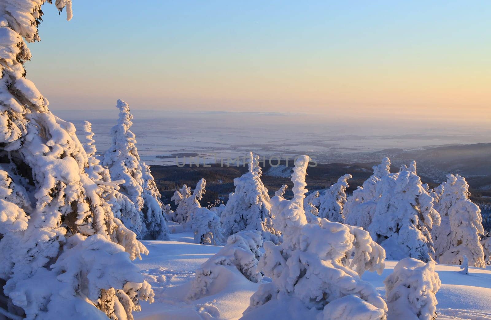 At sunrise on the Brocken