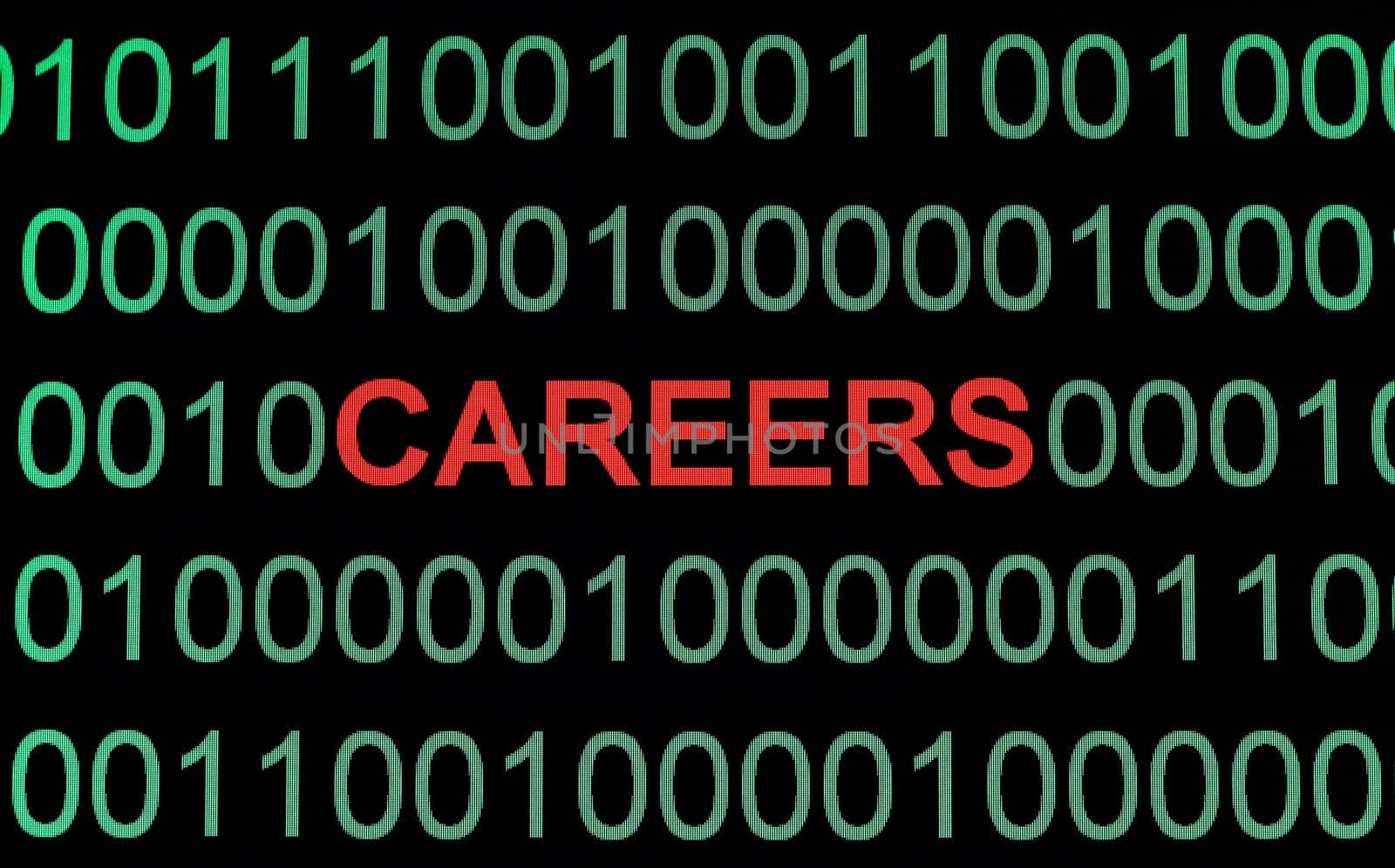Career