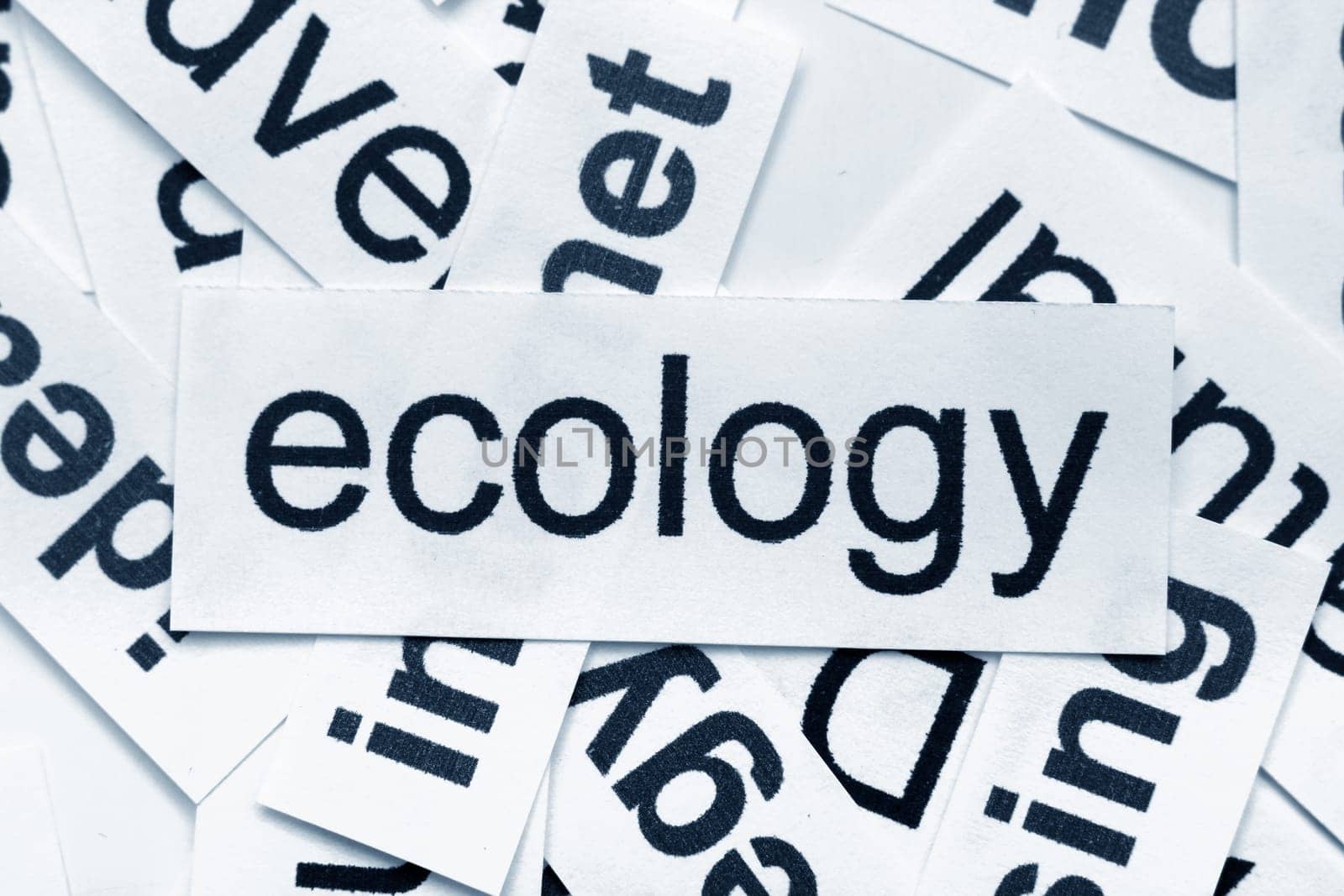 Ecology word cloud