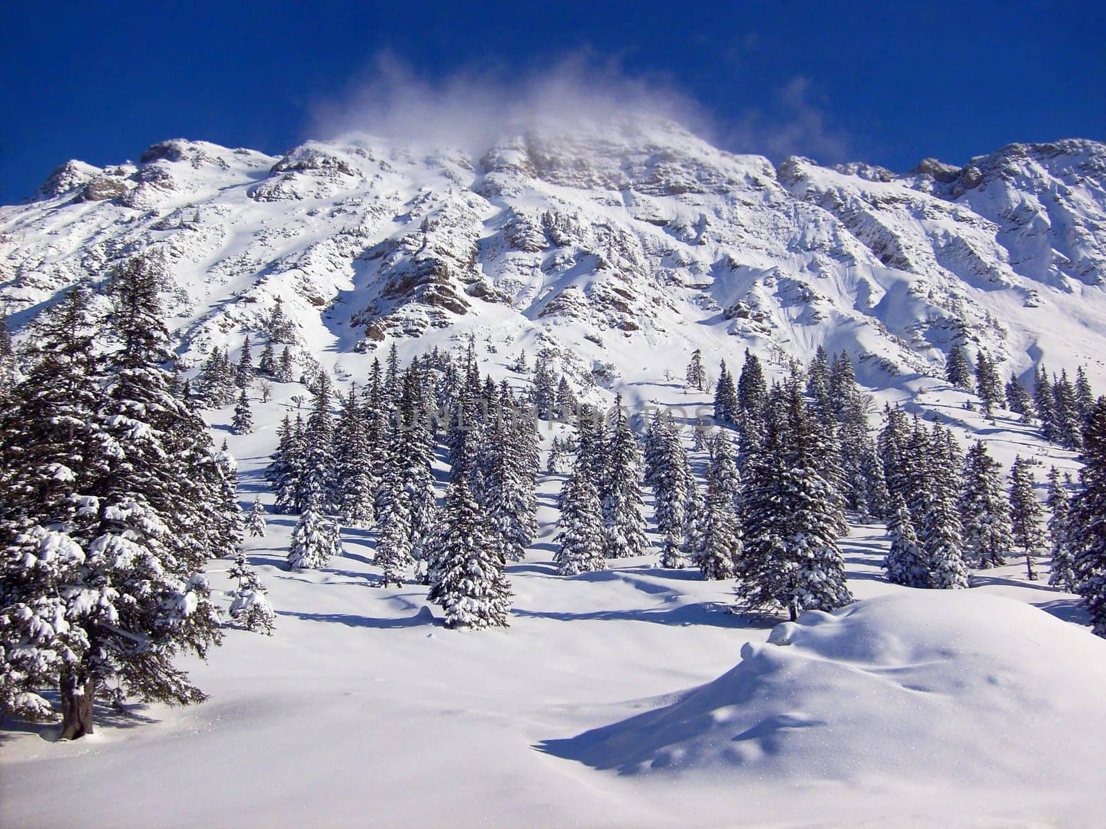The Iseler - A mountain near Oberjoch in the Allgäu