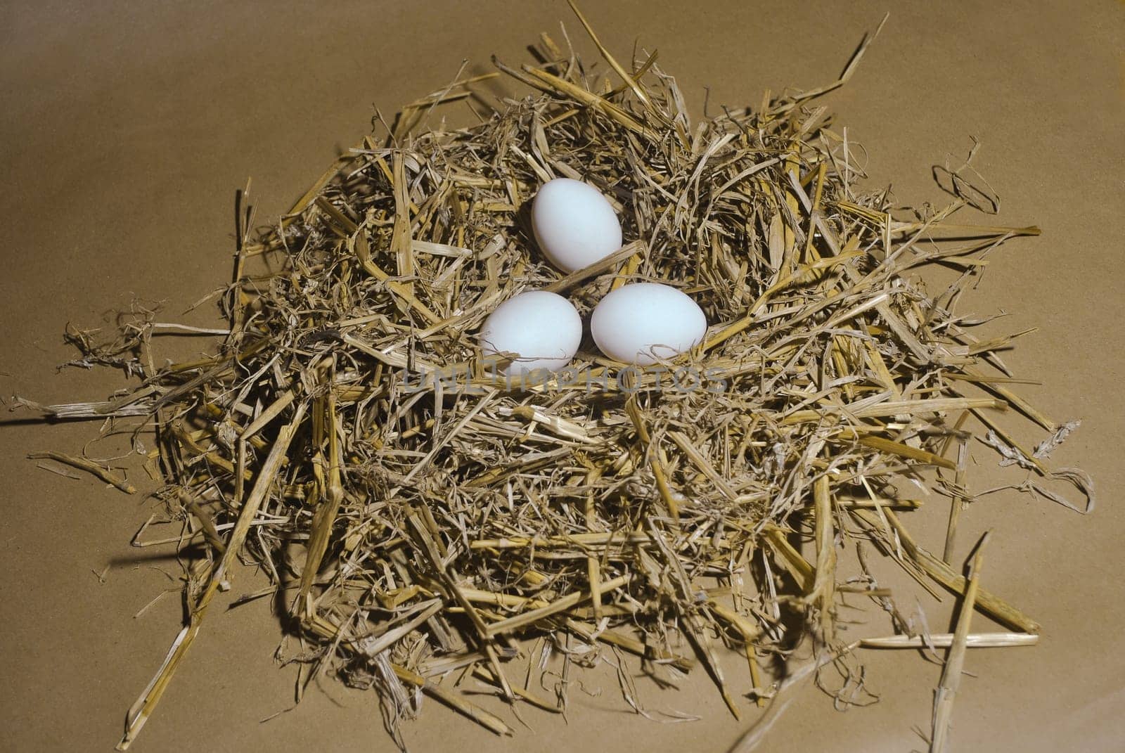 Bird's Nest 02