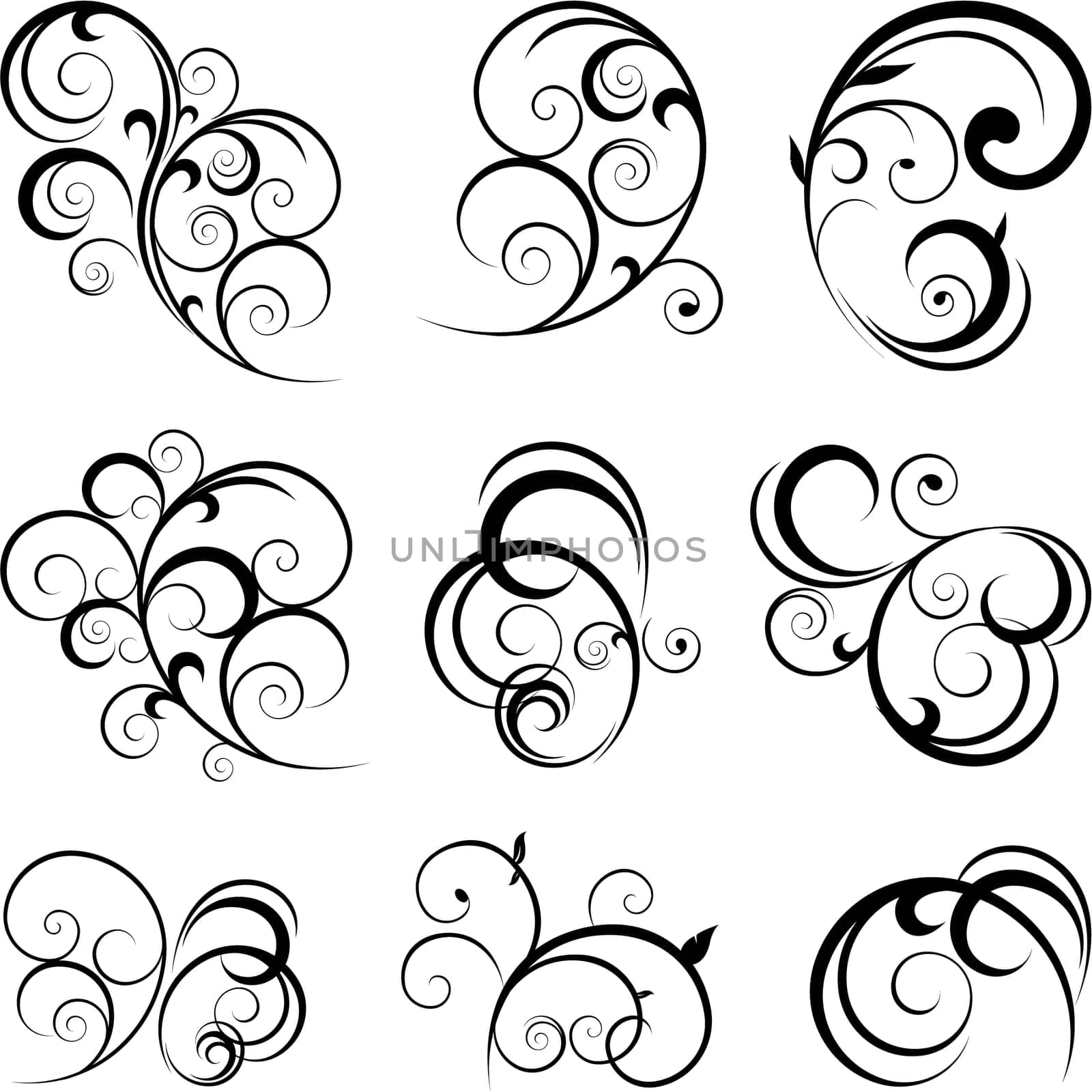 floral decorative design