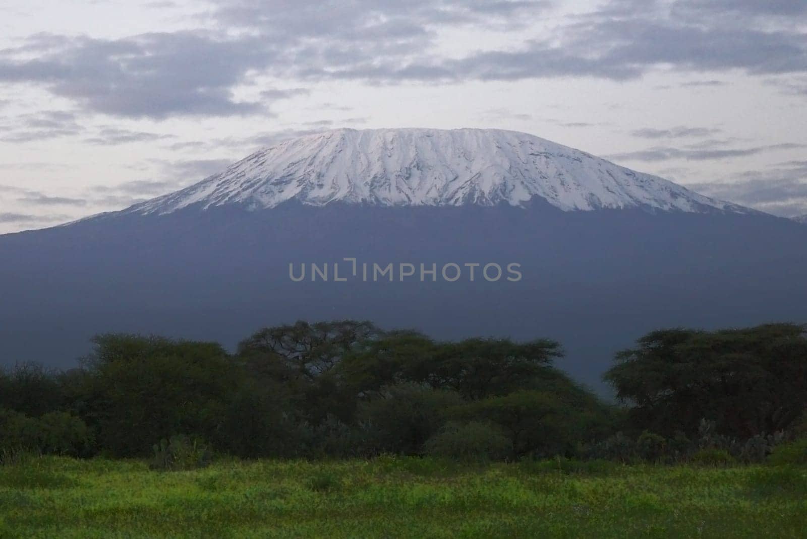 Mount Kilimanjaro in Kenya, landscape with snow covered peak in evening dusk