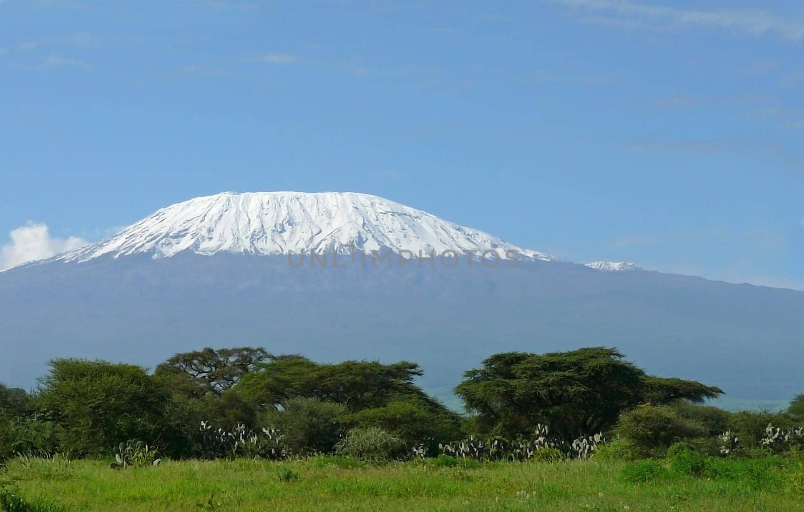 Landscape with snow covered peak of Kilimanjaro in Kenya