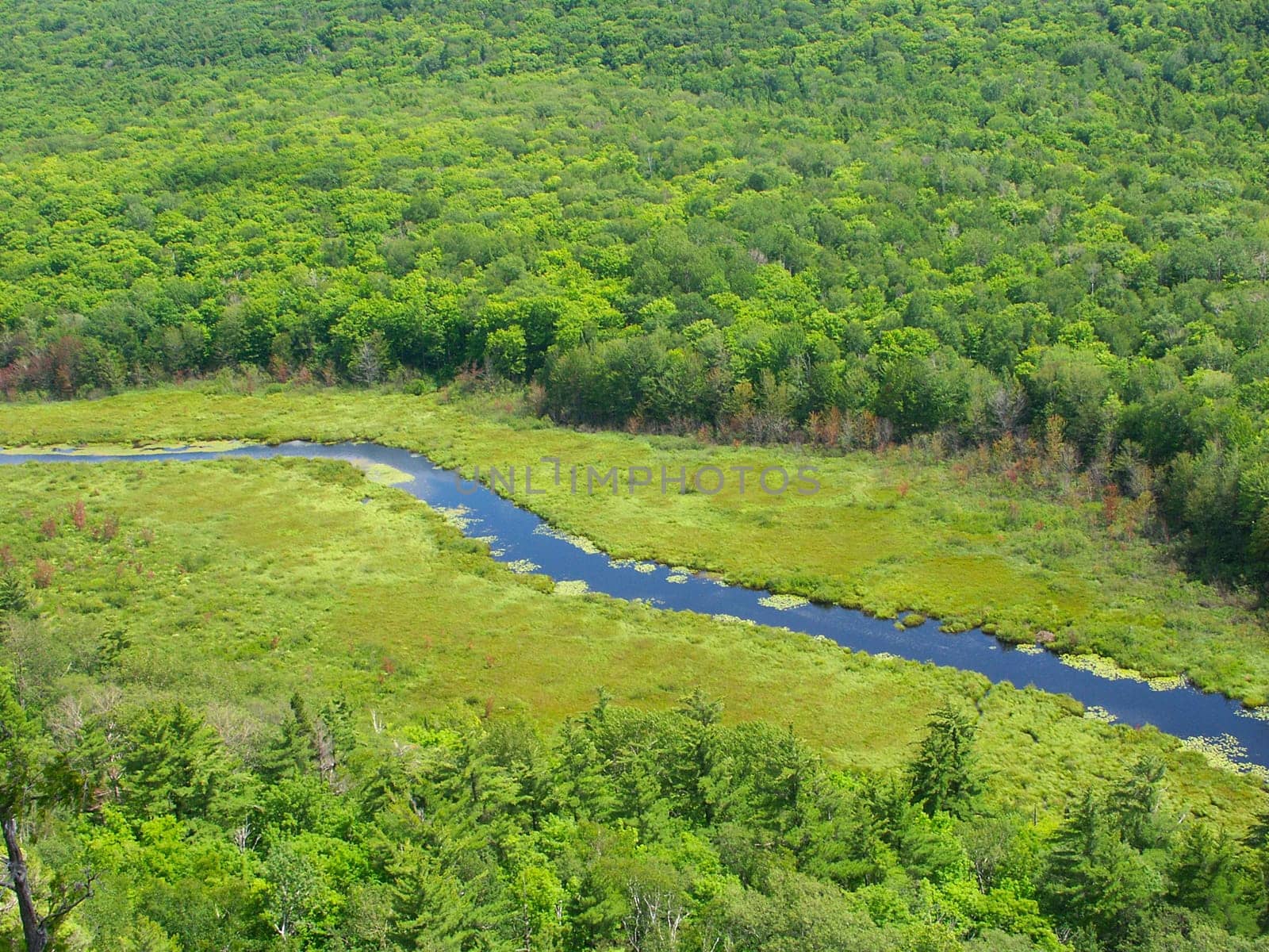 The Big Carp River at Porcupine Mountains State Park in Michigans upper peninsula.
