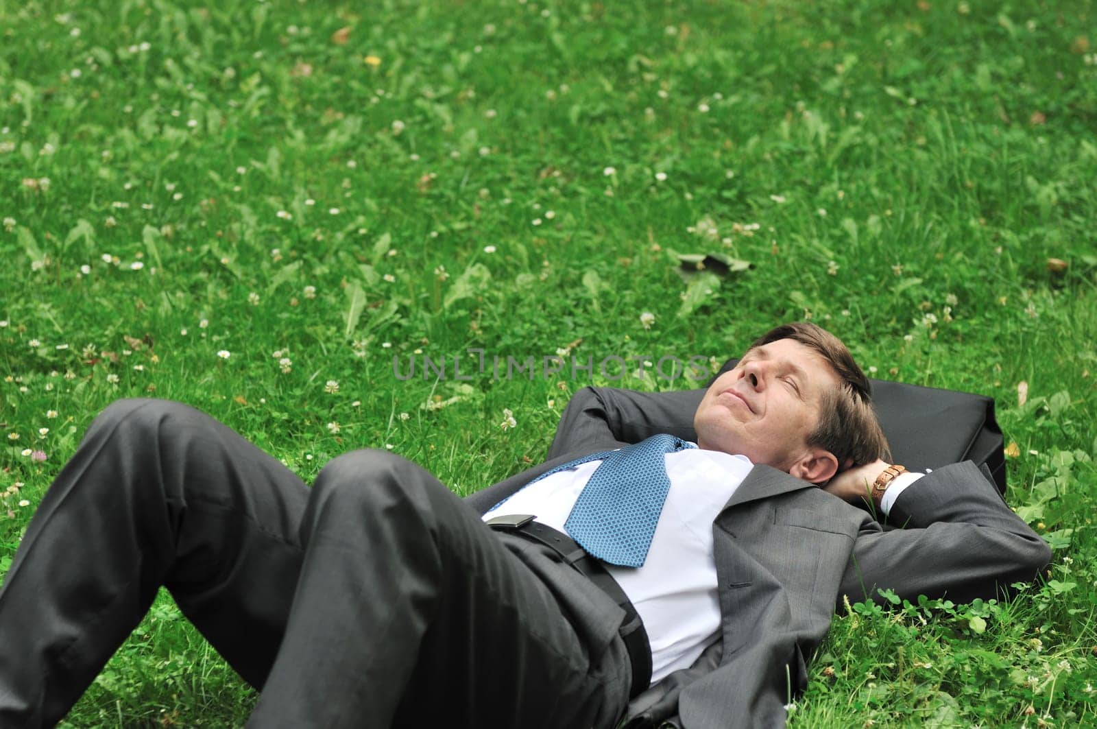 Senior people series - mature business man lying in grass and relaxing with copy space