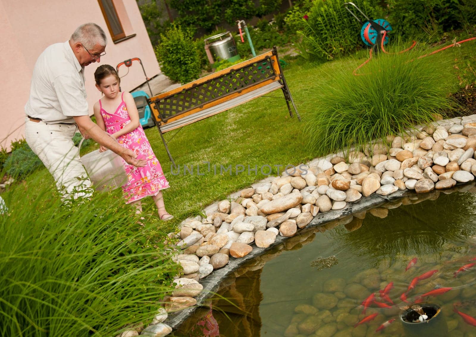 Grandparent with her grandchild feeding fish in garden pond (backyard)