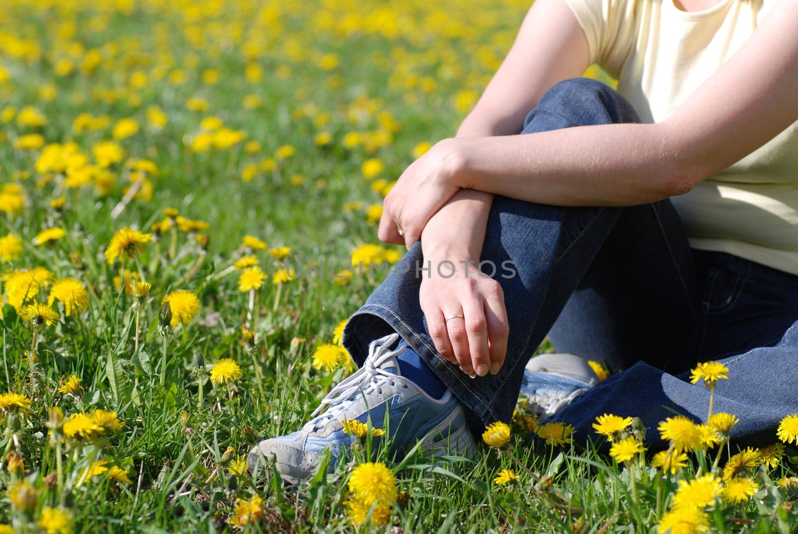 Spring scene - woman sitting in field of dandelions