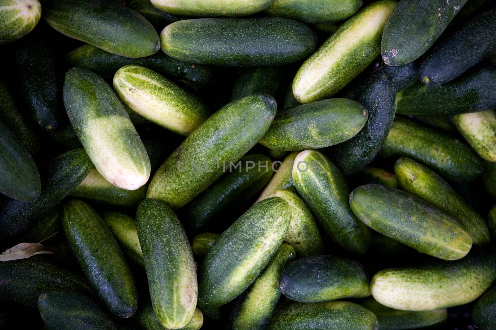 Full Frame of Green Cucumbers