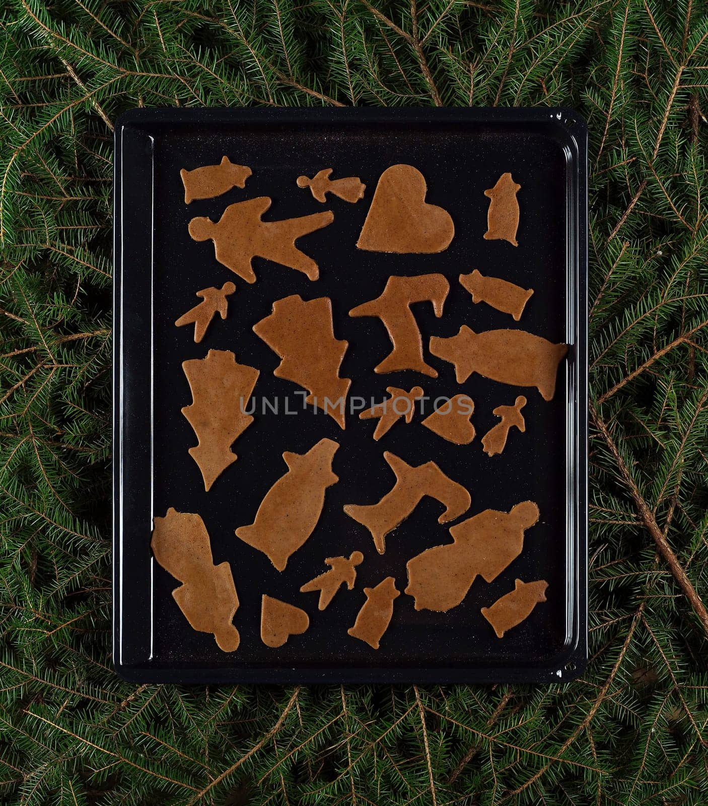 Full Frame of unbaked Gingerbread