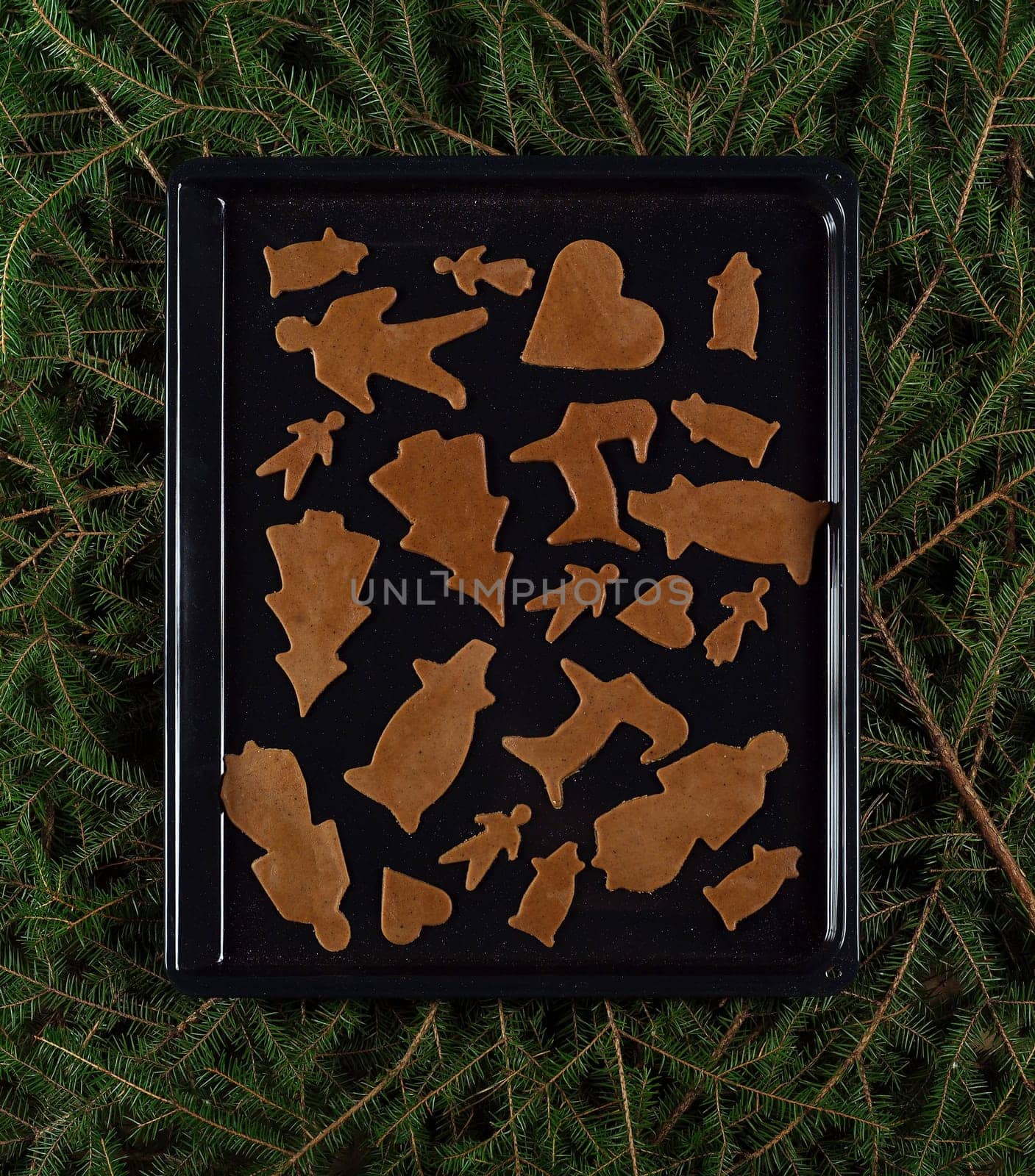 Full Frame of unbaked Gingerbread