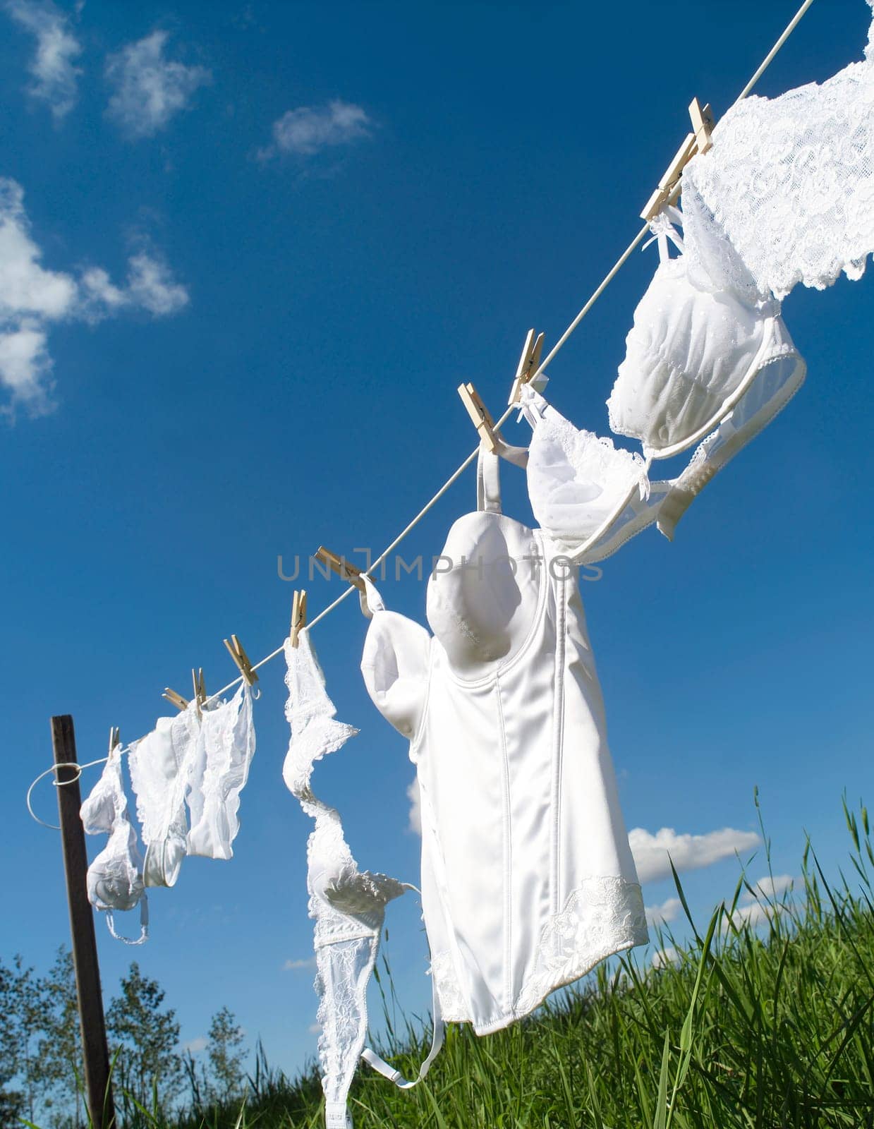 Female underwear on a clothesline towards blue sky
