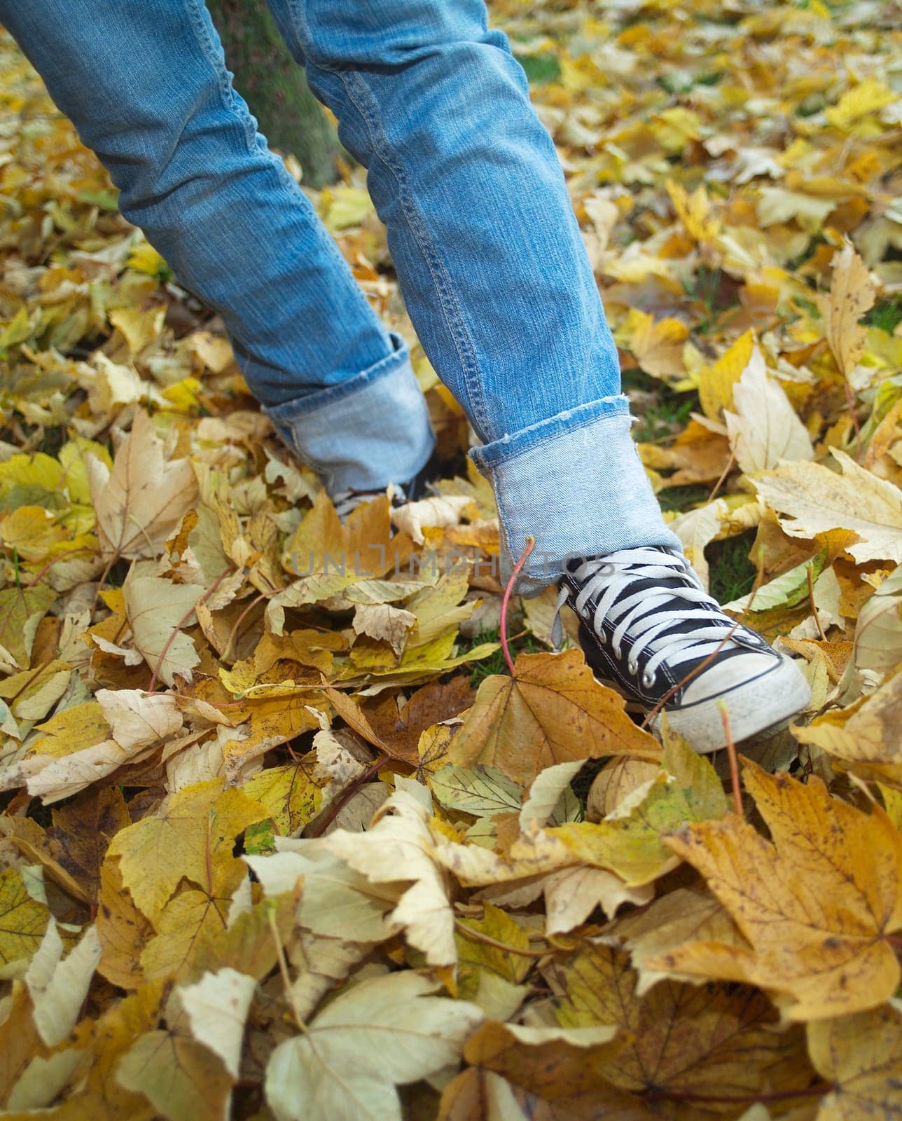 Human walking among Autumn Leafs