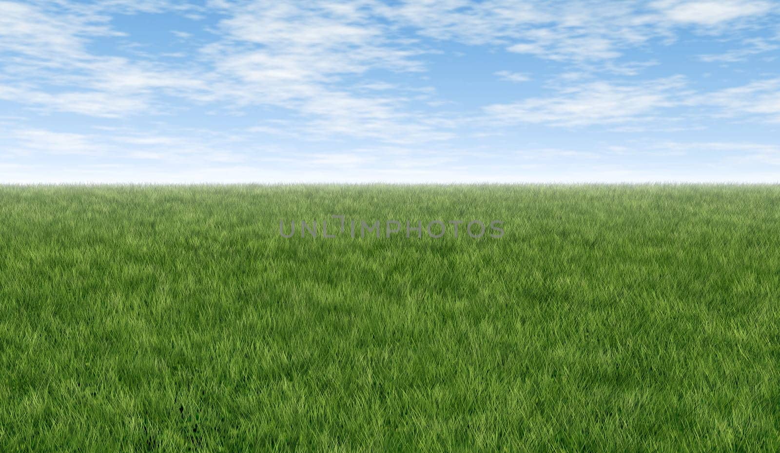 Green grass feild horizon with blue sky and clouds great for double page spreads and background art representing fresh healthy lawn and clean natural nature related issues.