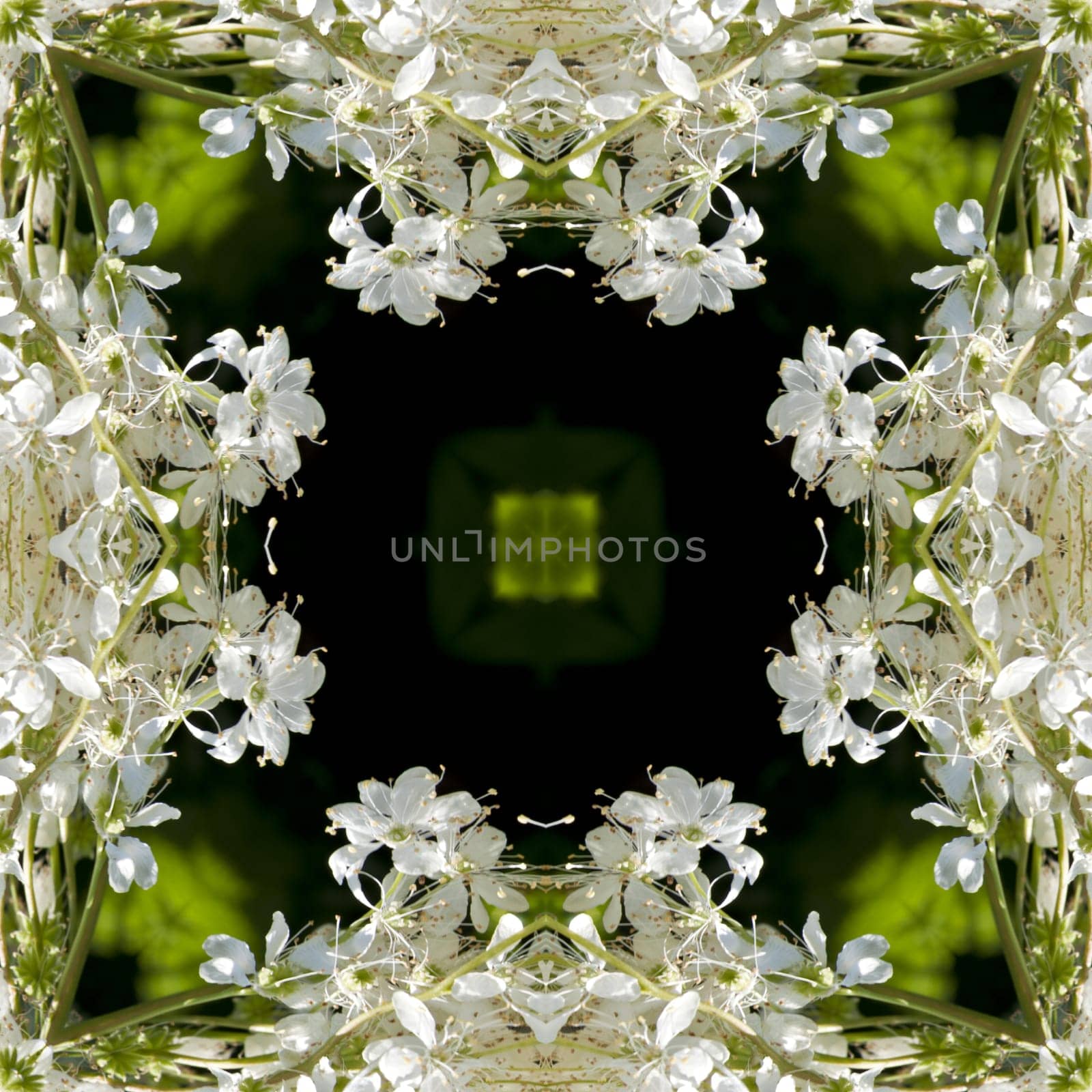 an abstract kaleidoscope background on white background