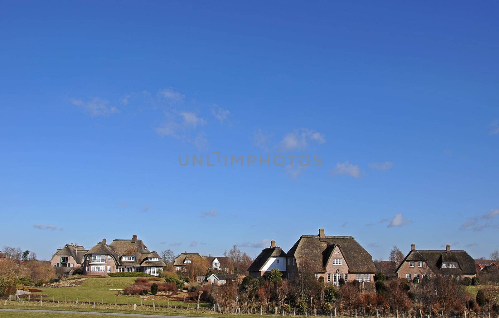 Thatched roof houses behind the dike