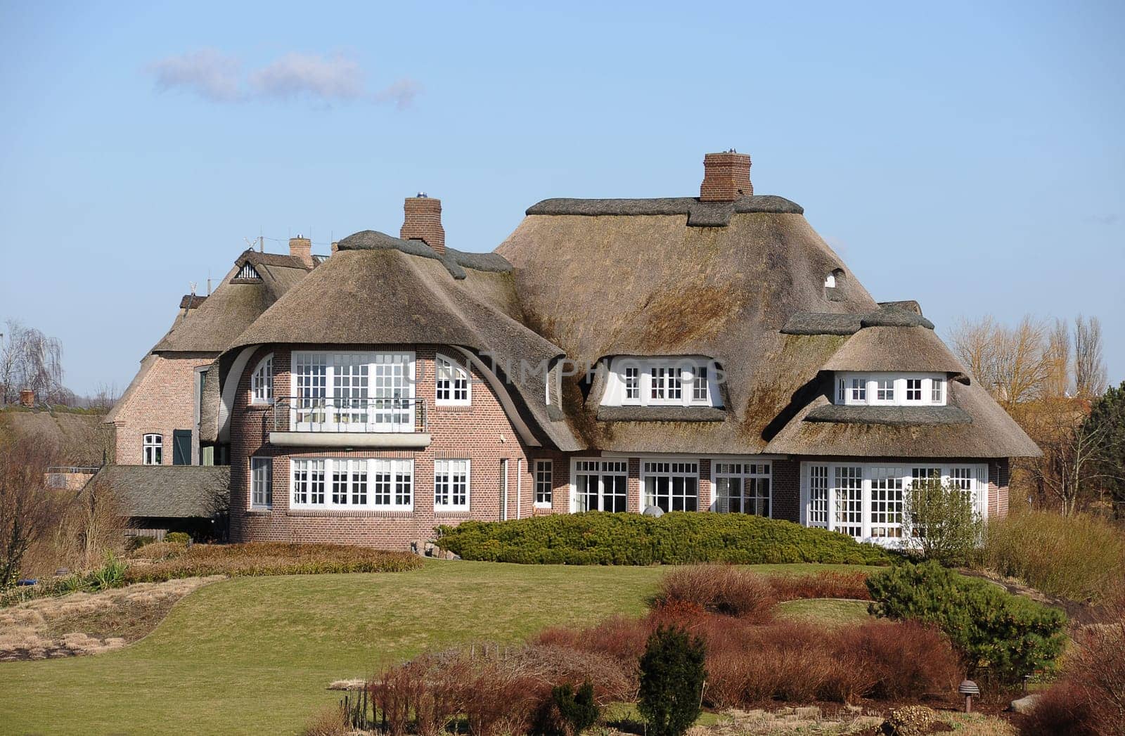 Thatched roof house
