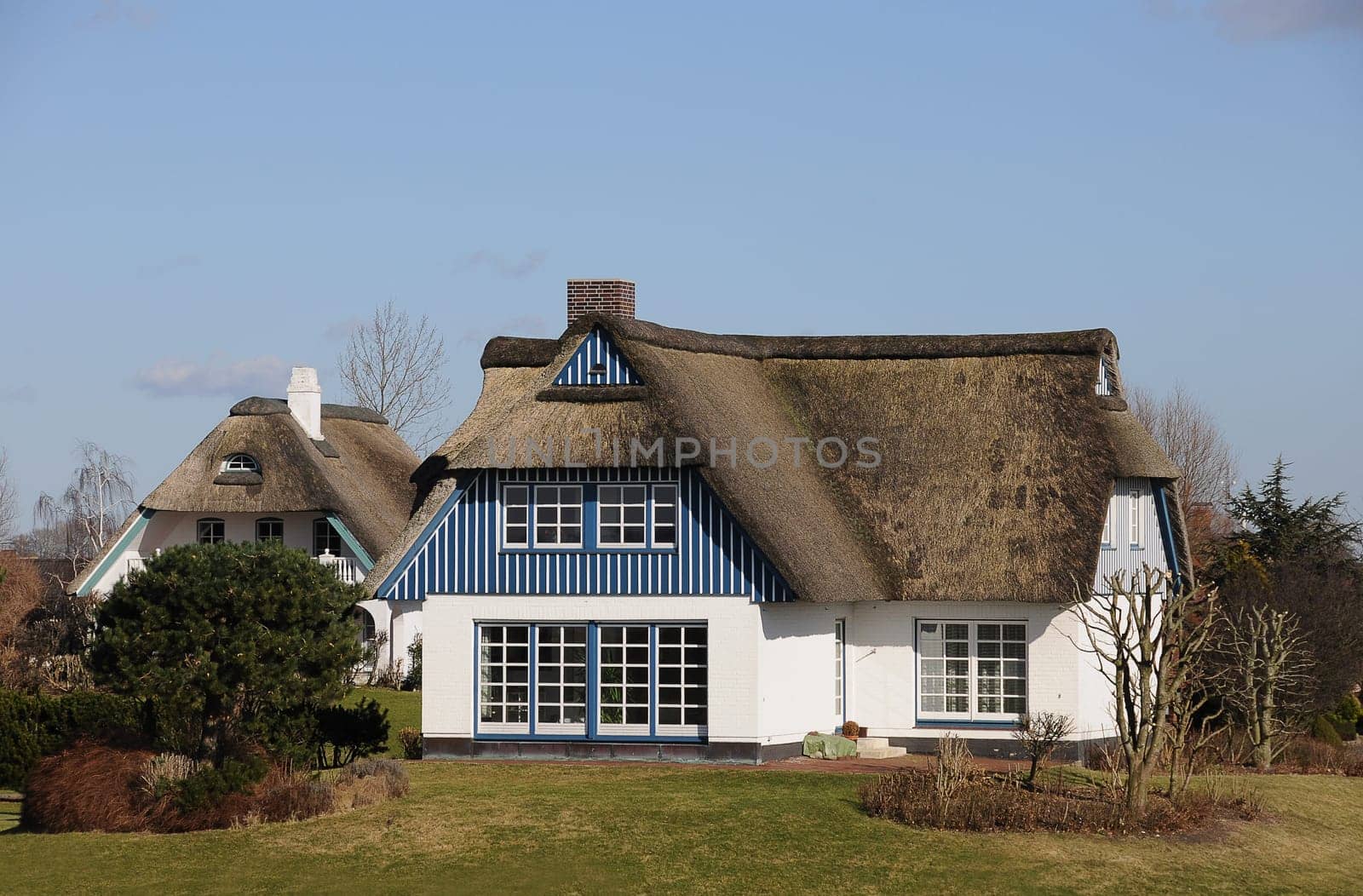 Thatched roof houses