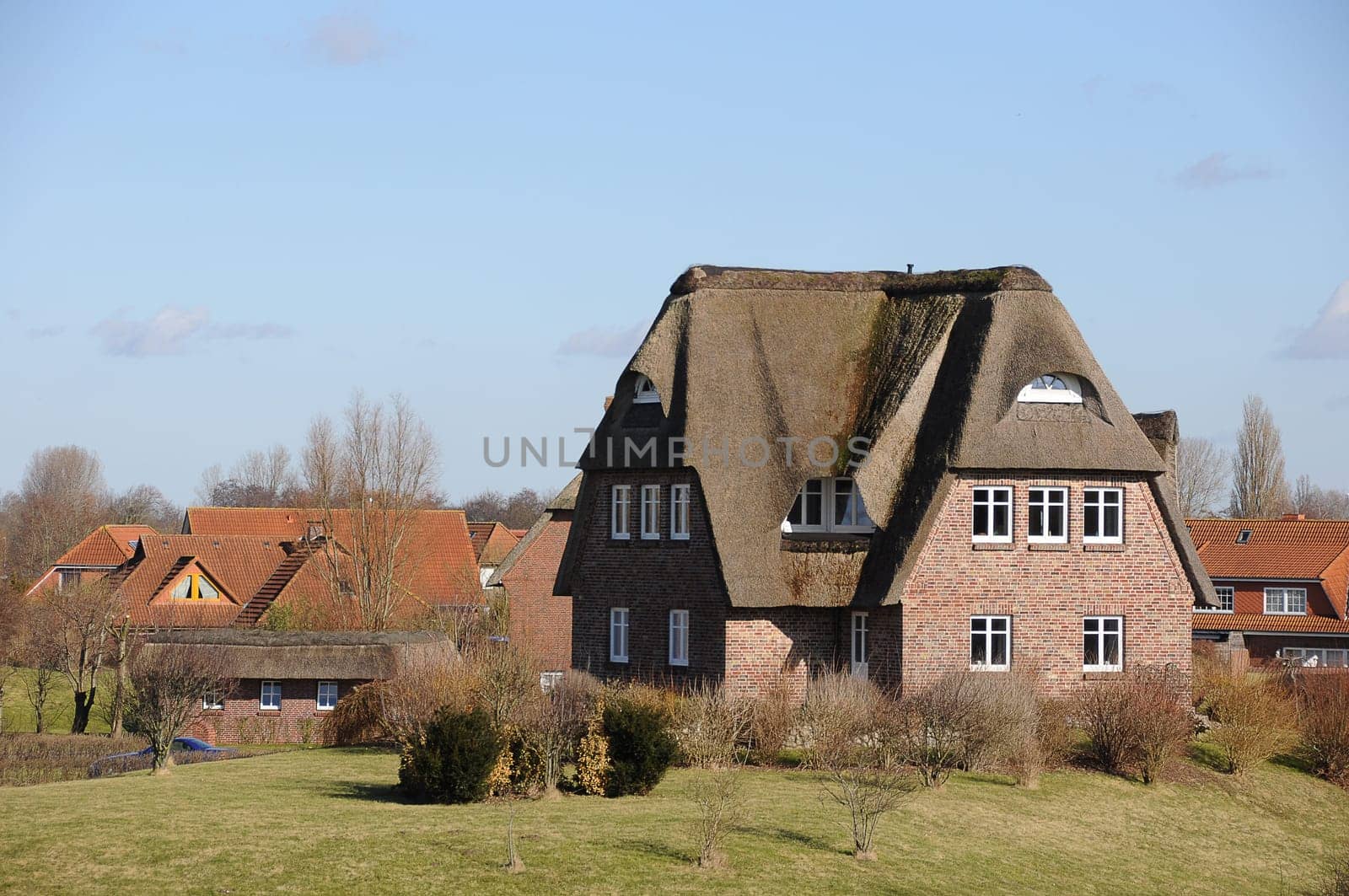 Thatched roof house
