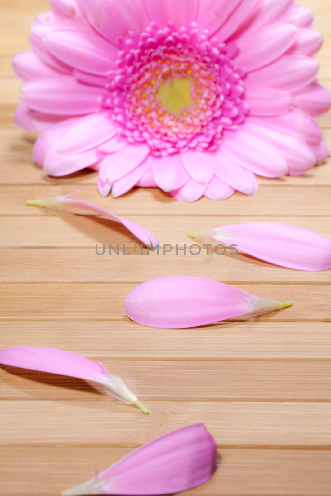 beauty concept with wood background and gerbera