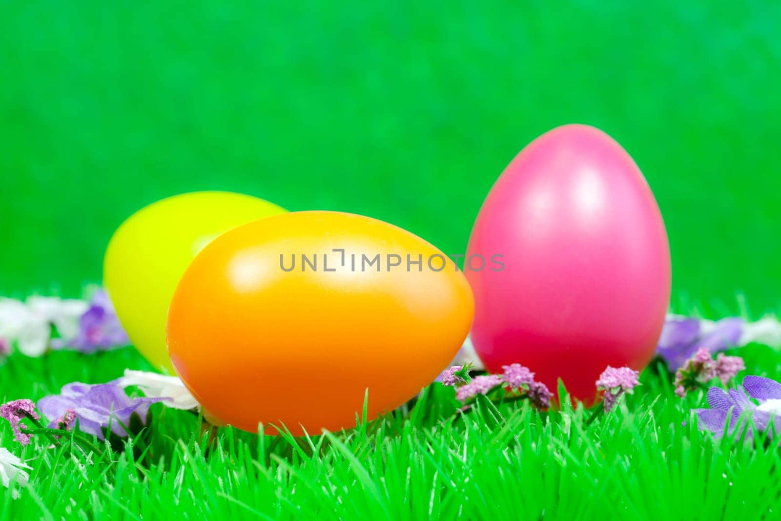 Easter eggs in the grass