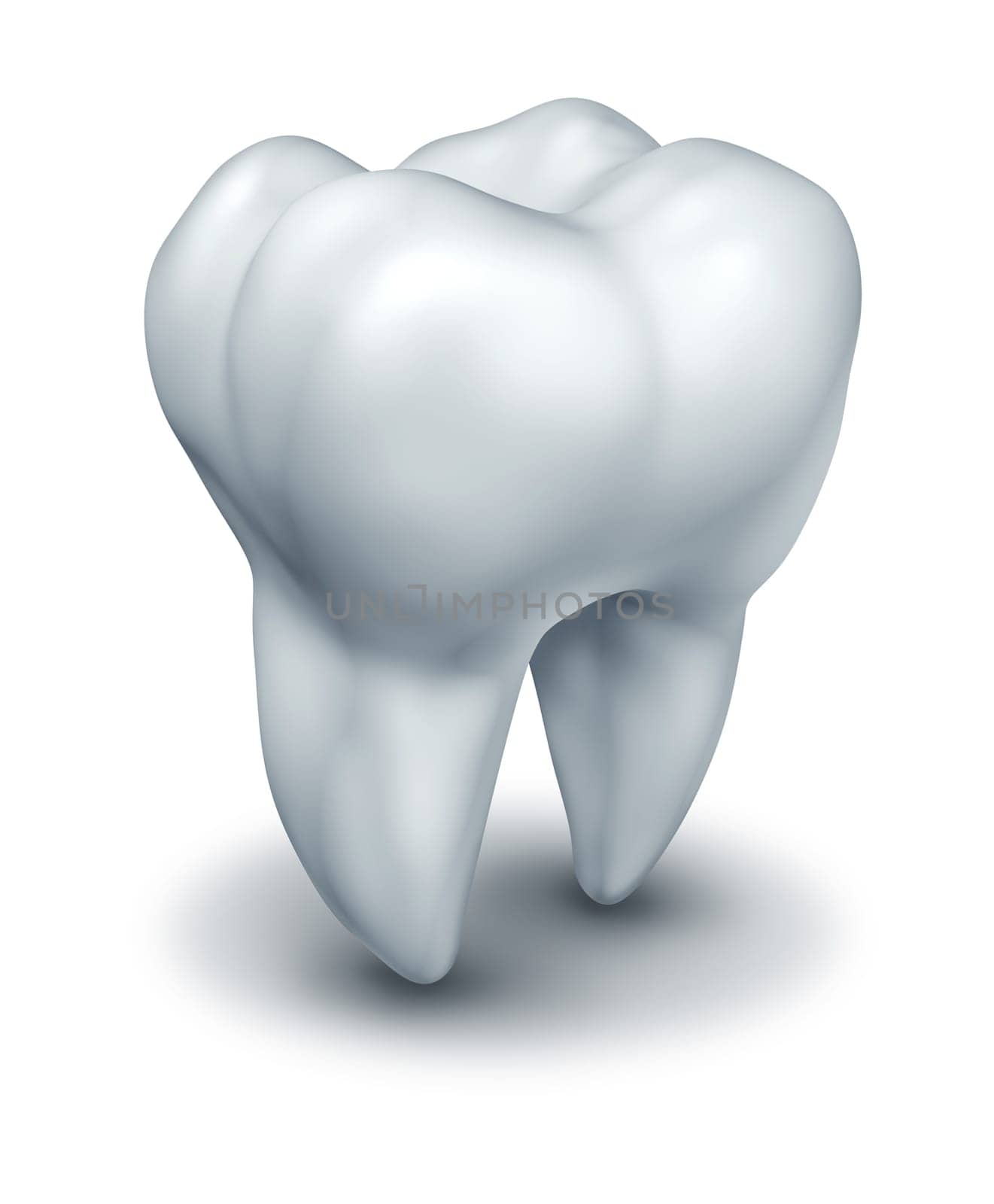 Human tooth dental symbol representing dentist medicine and dentistry surgery represented by a white single molar tooth on a white background.
